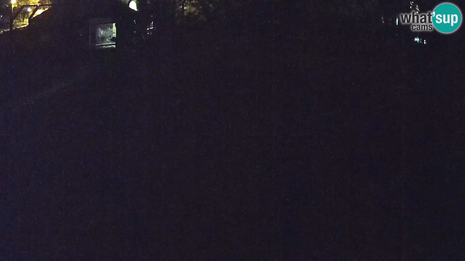 Živalski vrt Ljubljana kamera v živo Levi