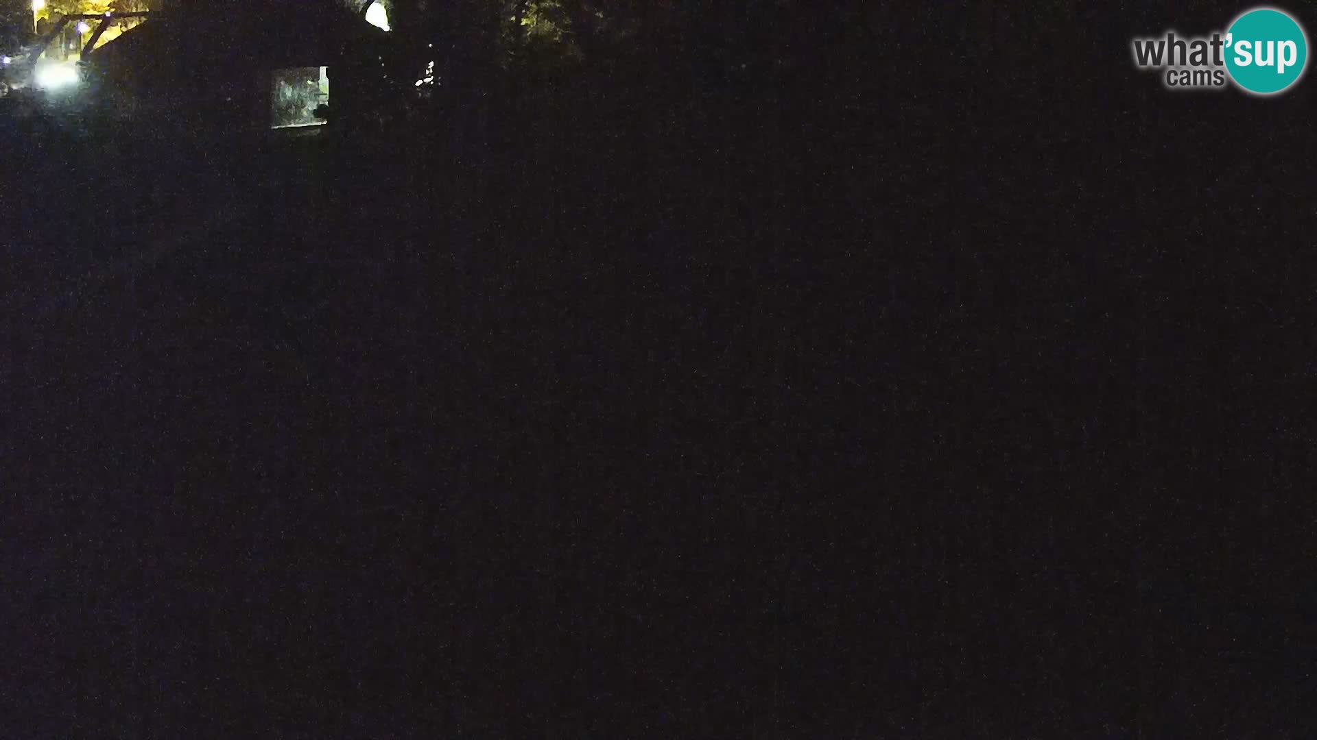 Zoo Ljubljana webcam Löwen