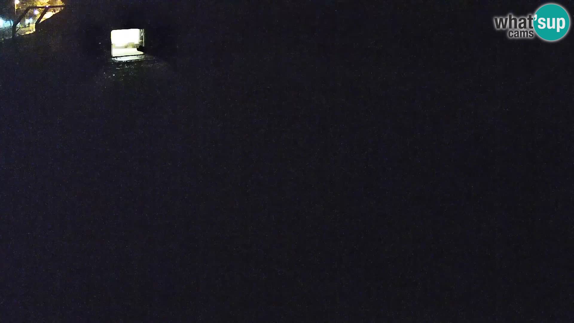 Zoo Ljubljana web kamera Lavovi