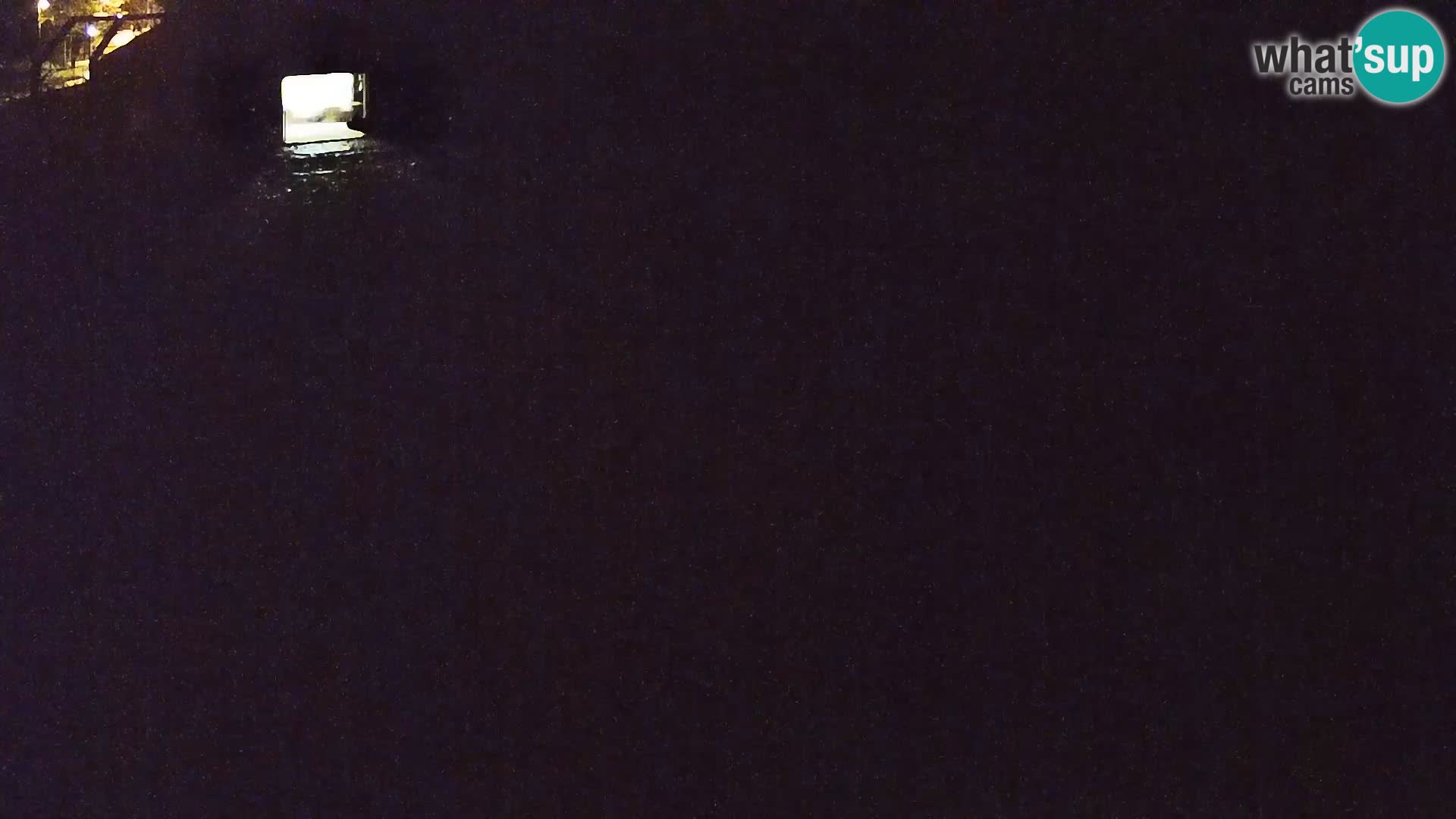 Zoo Ljubljana web kamera Lavovi