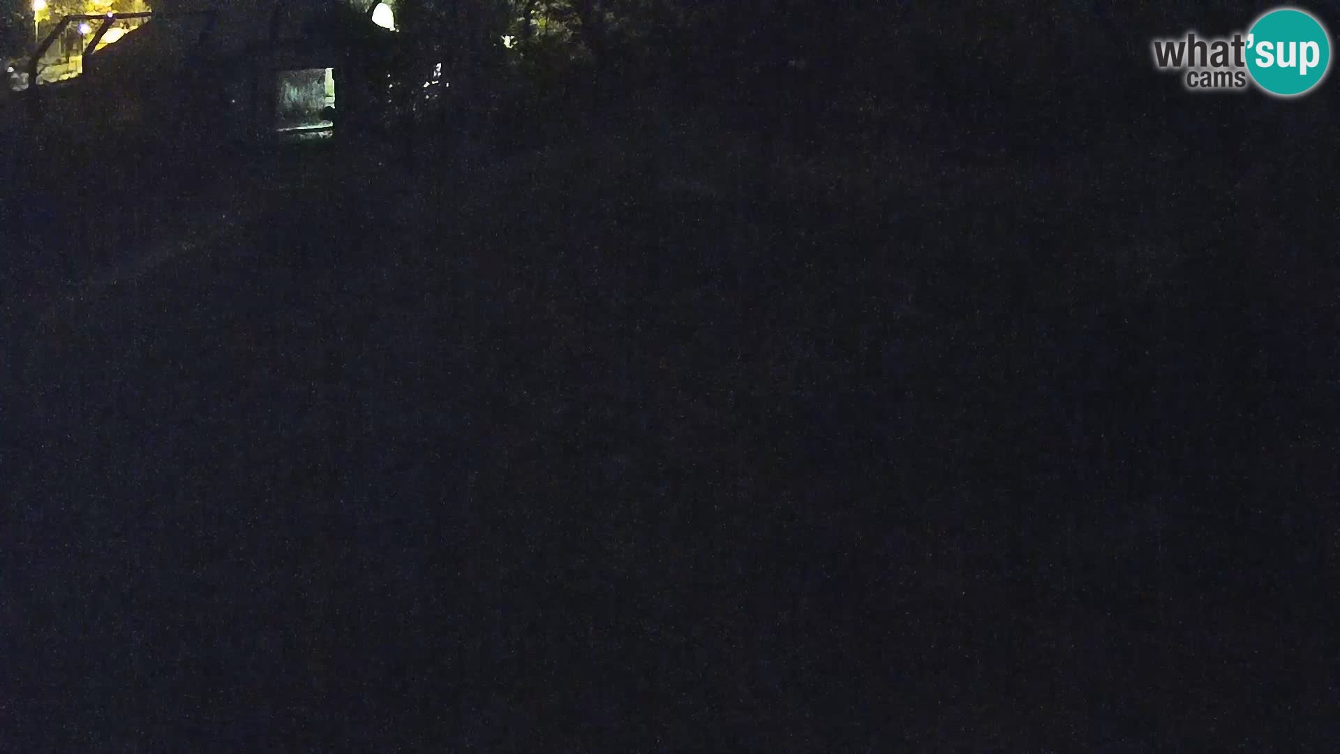 Zoo Ljubljana camera en vivo Leones