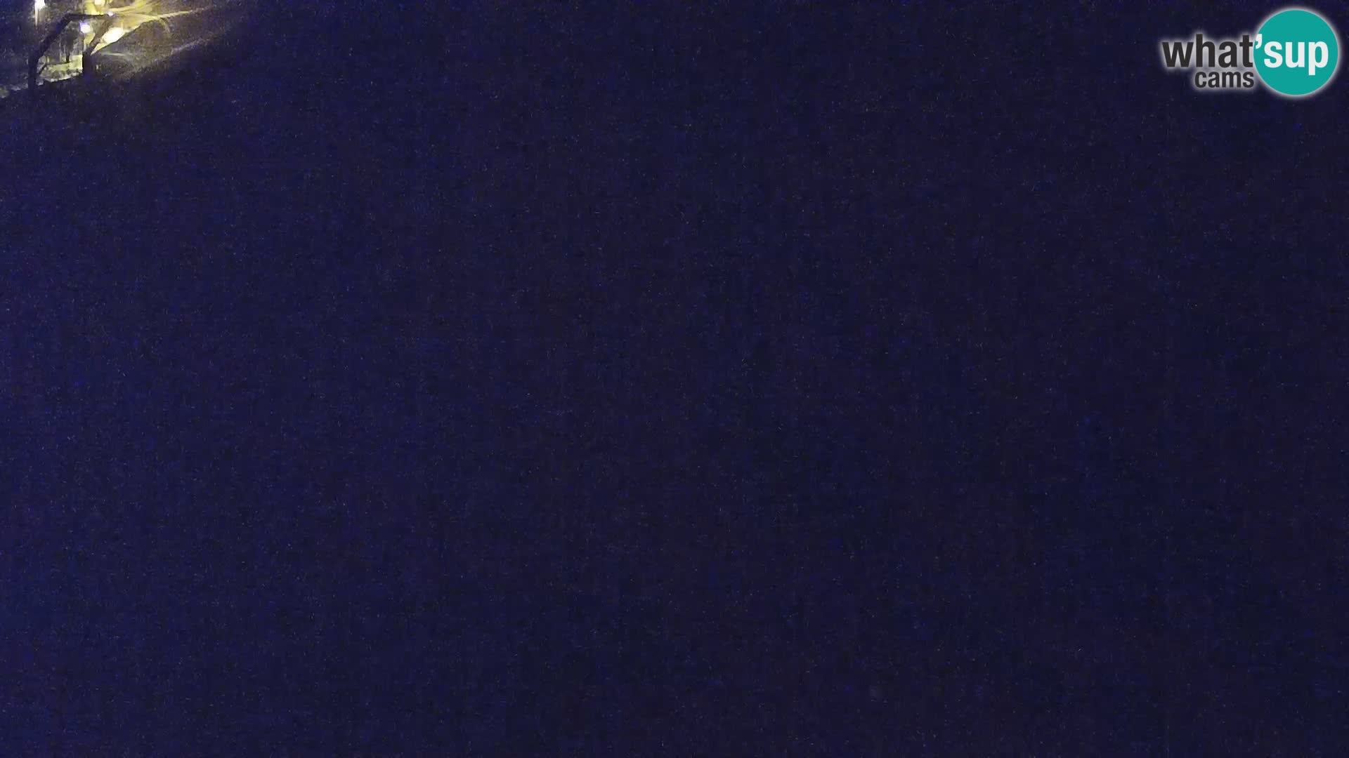 Zoo Ljubljana web kamera Lavovi