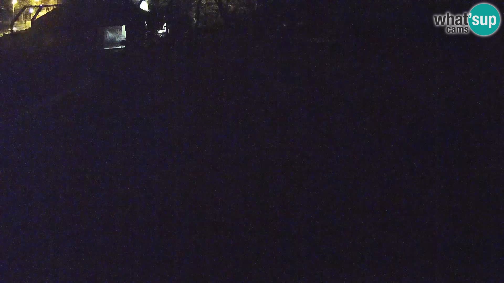 Ljubljana Zoo webcam Lion