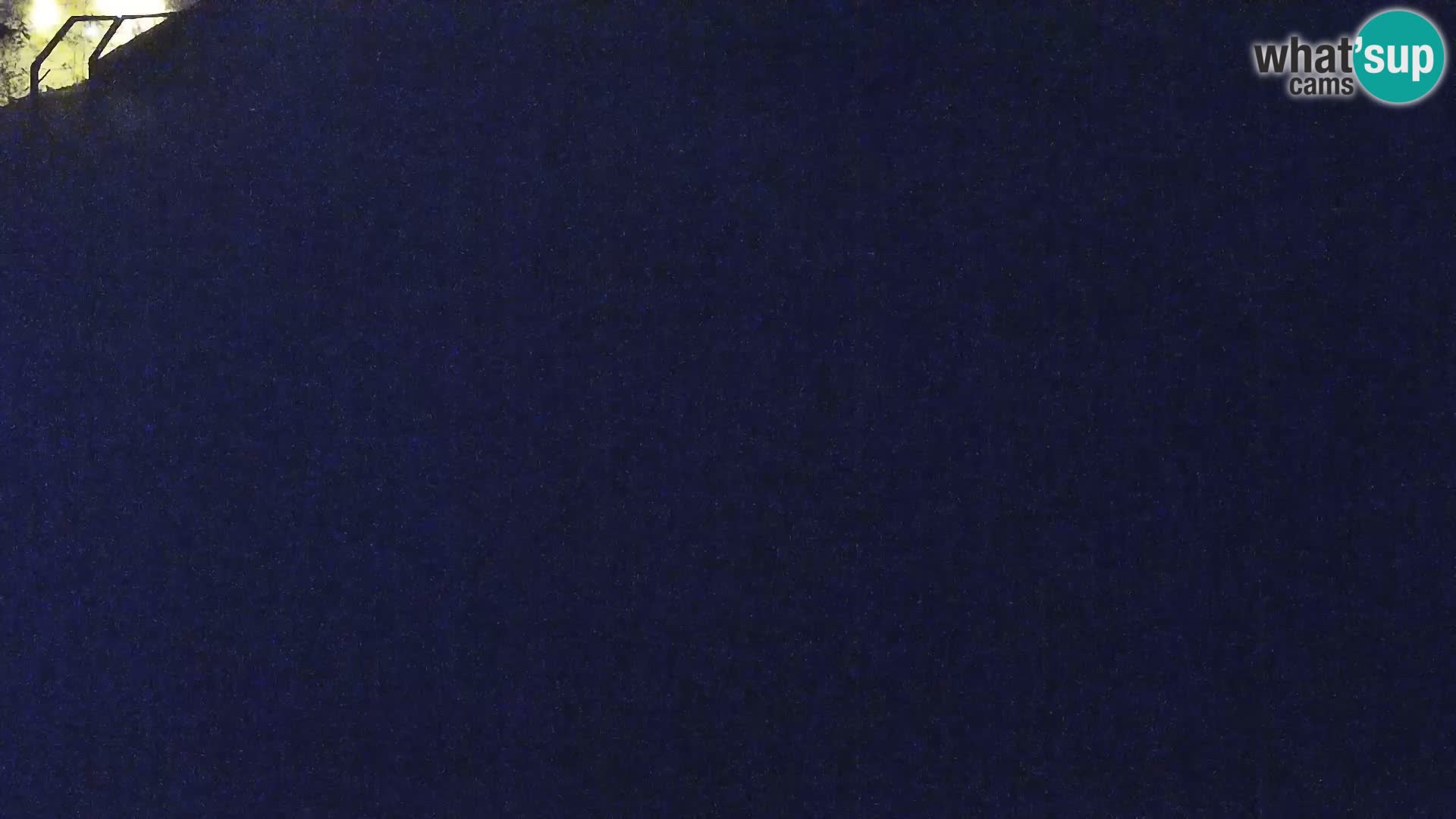 Zoo Ljubljana web kamera Lavovi