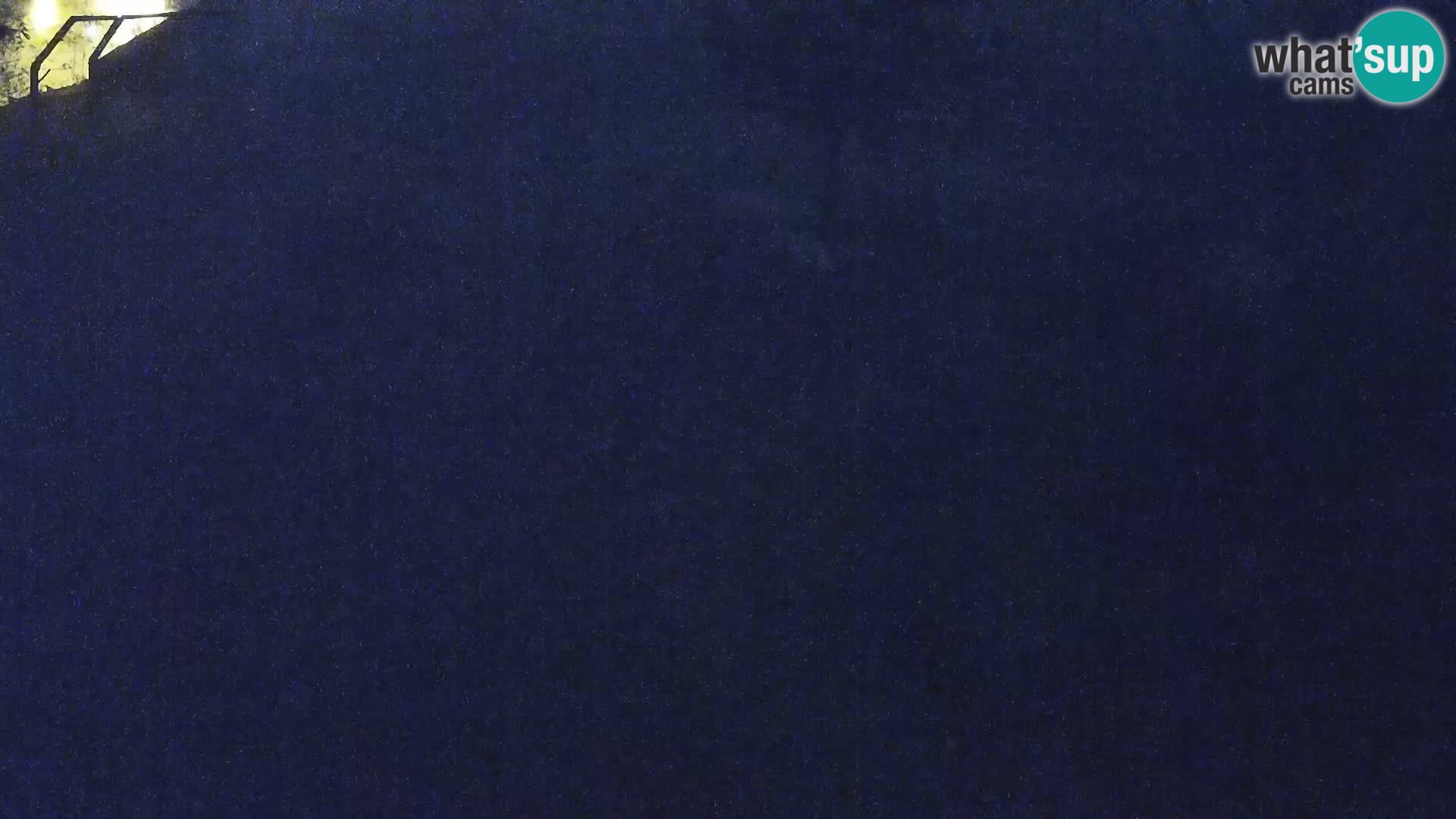 Zoo Ljubljana webcam Löwen