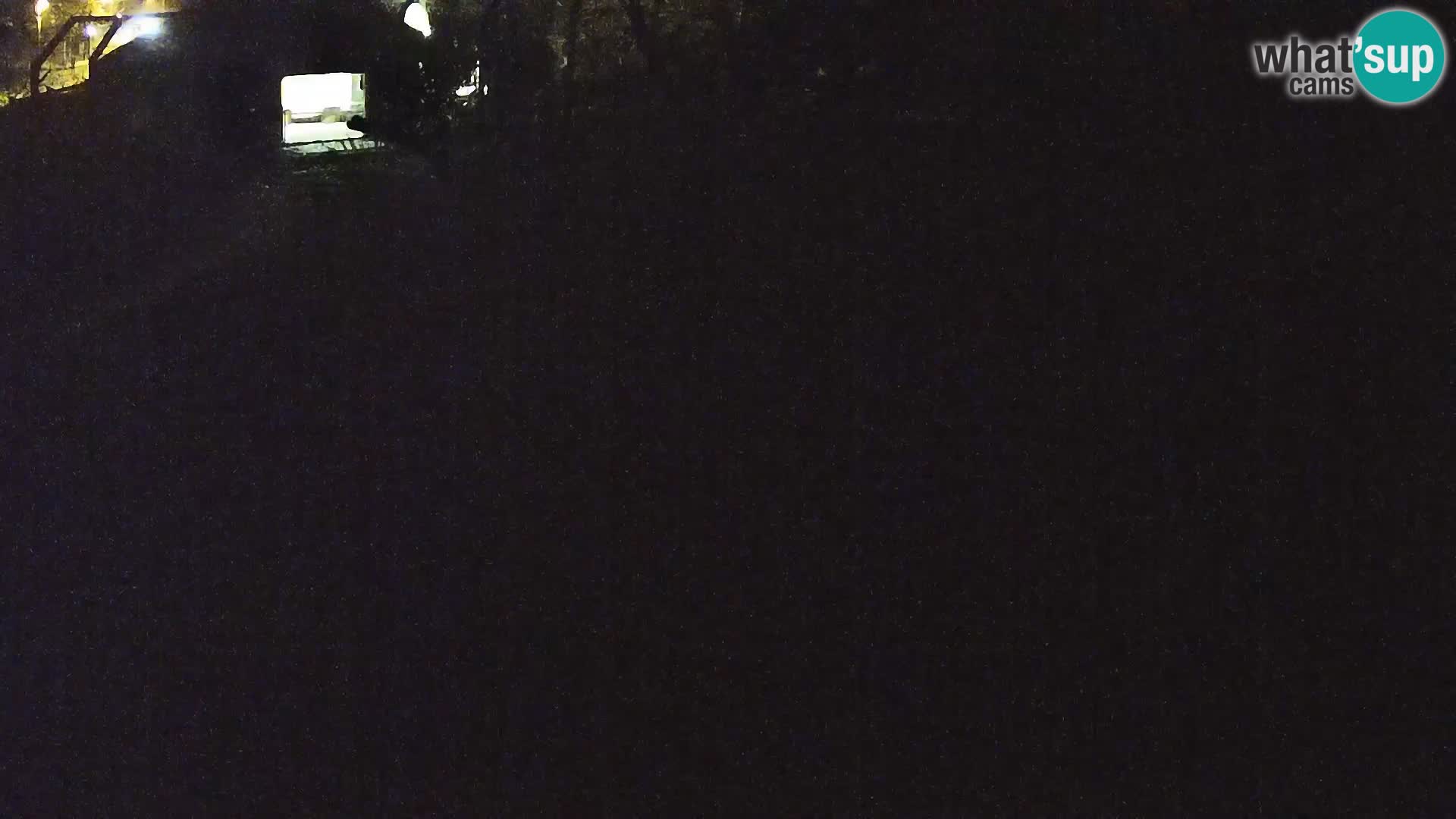 Zoo Ljubljana webcam Löwen