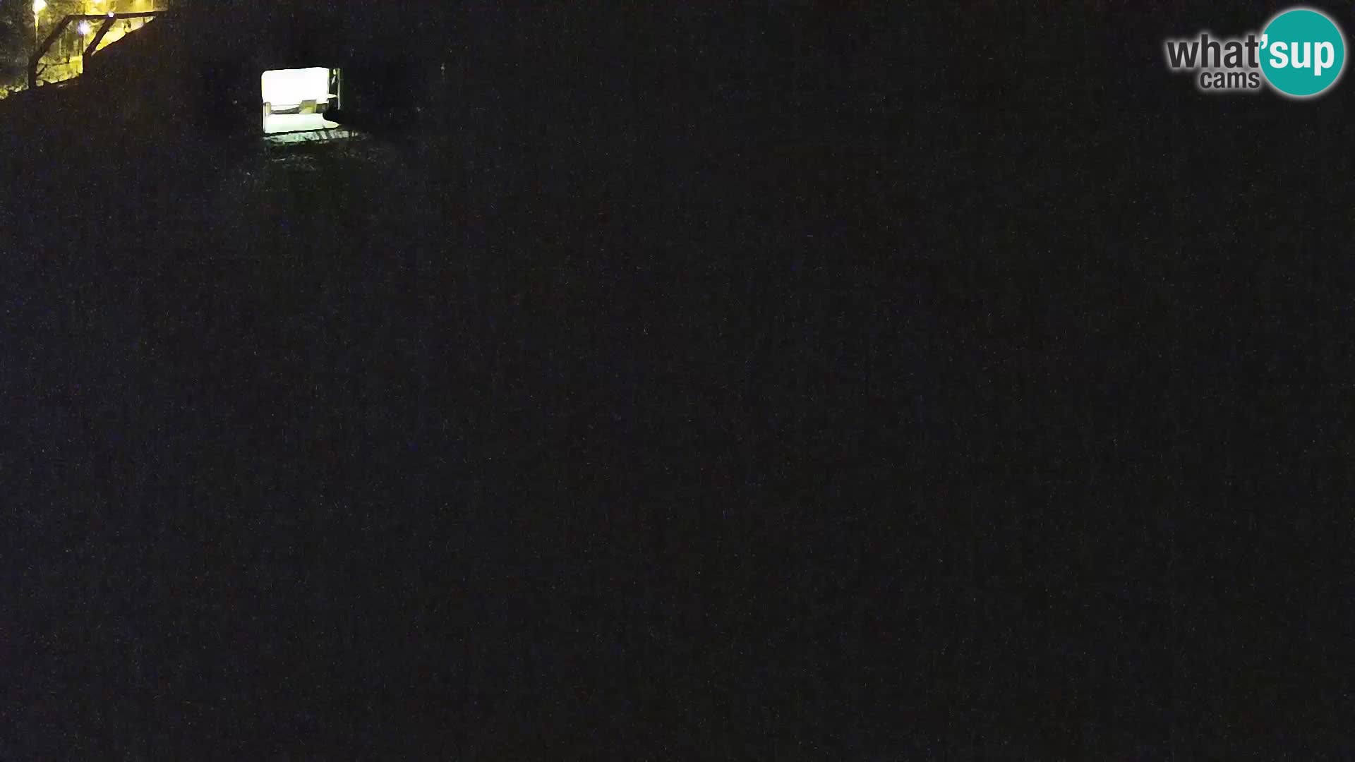 Zoo Lubiana live webcam Leoni