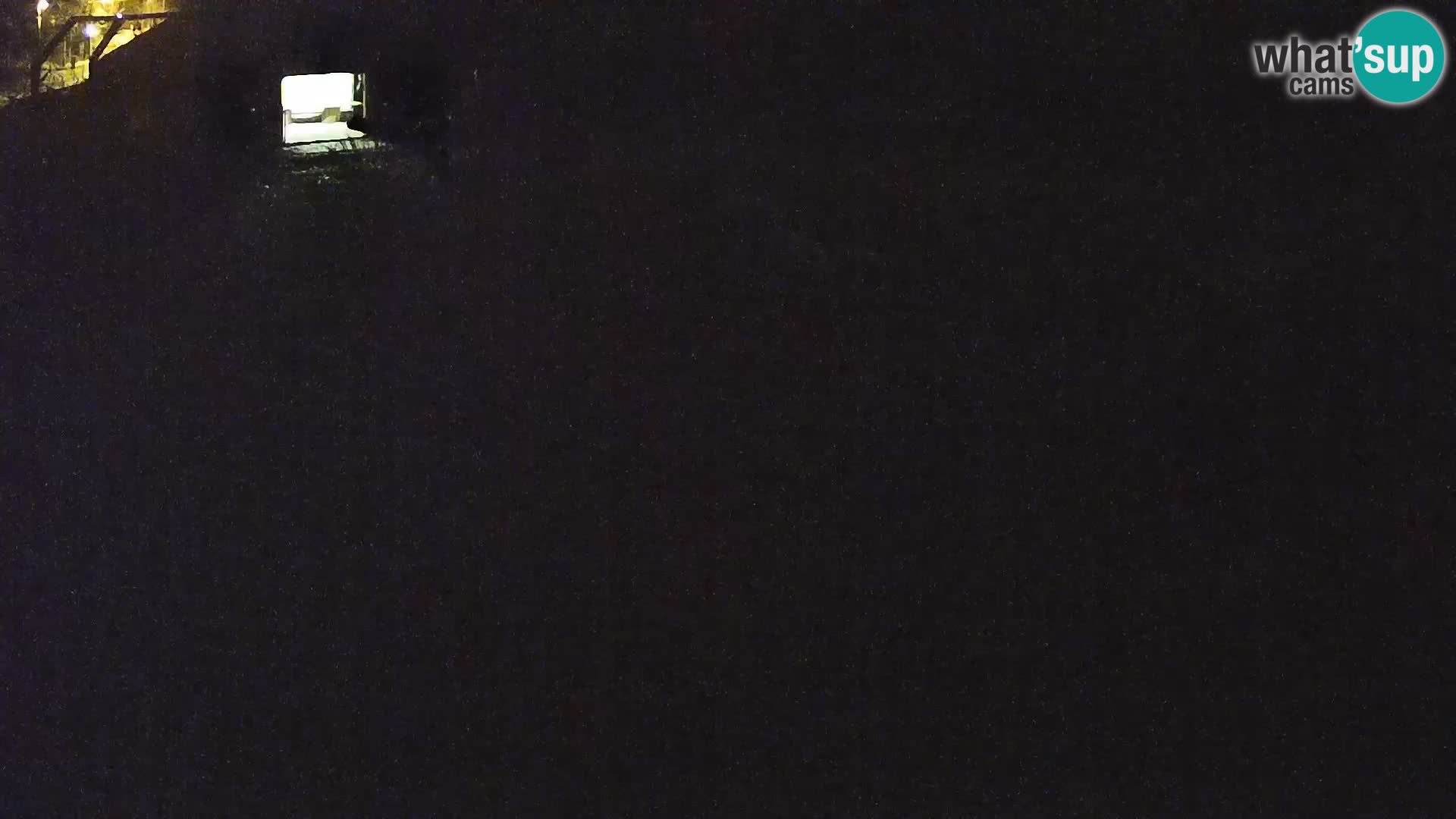 Zoo Lubiana live webcam Leoni