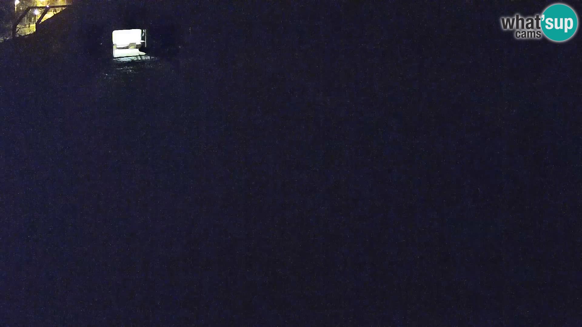 Zoo Lubiana live webcam Leoni