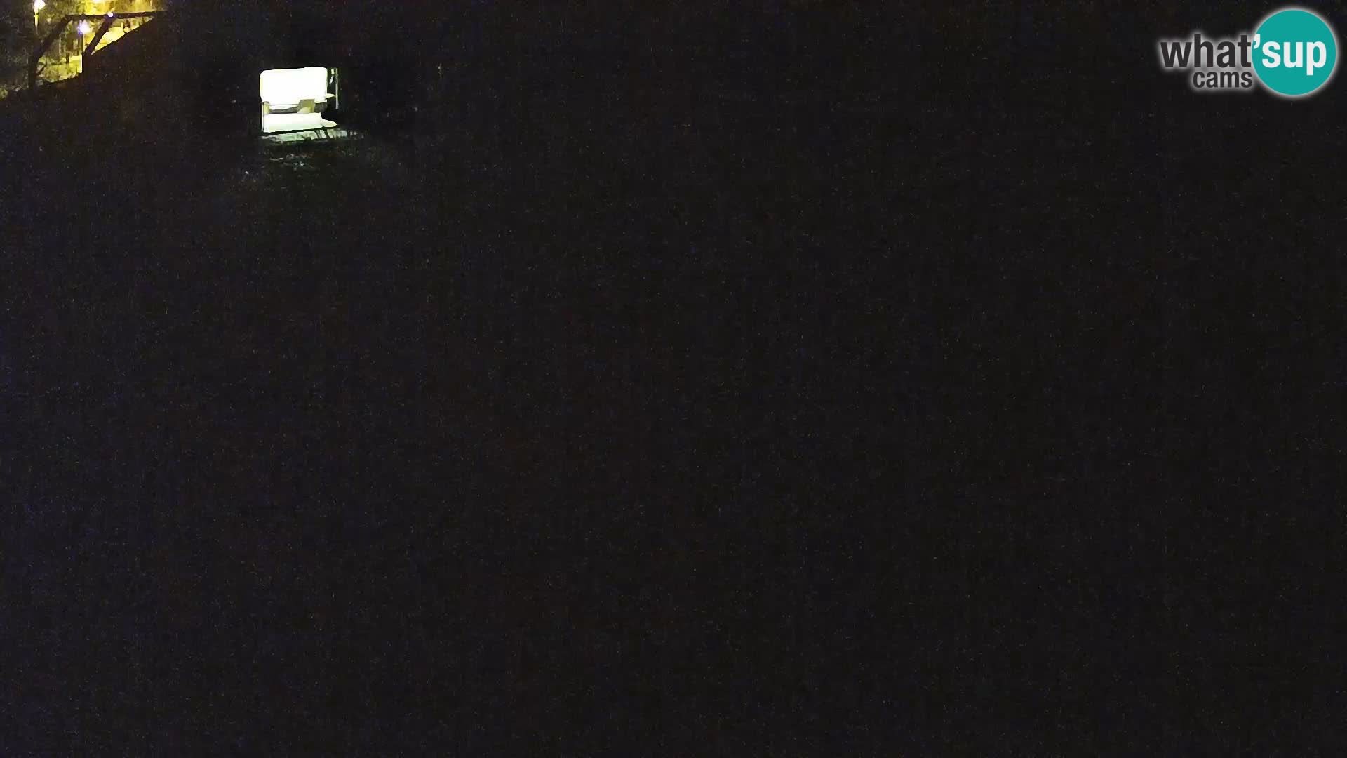 Zoo Ljubljana camera en vivo Leones