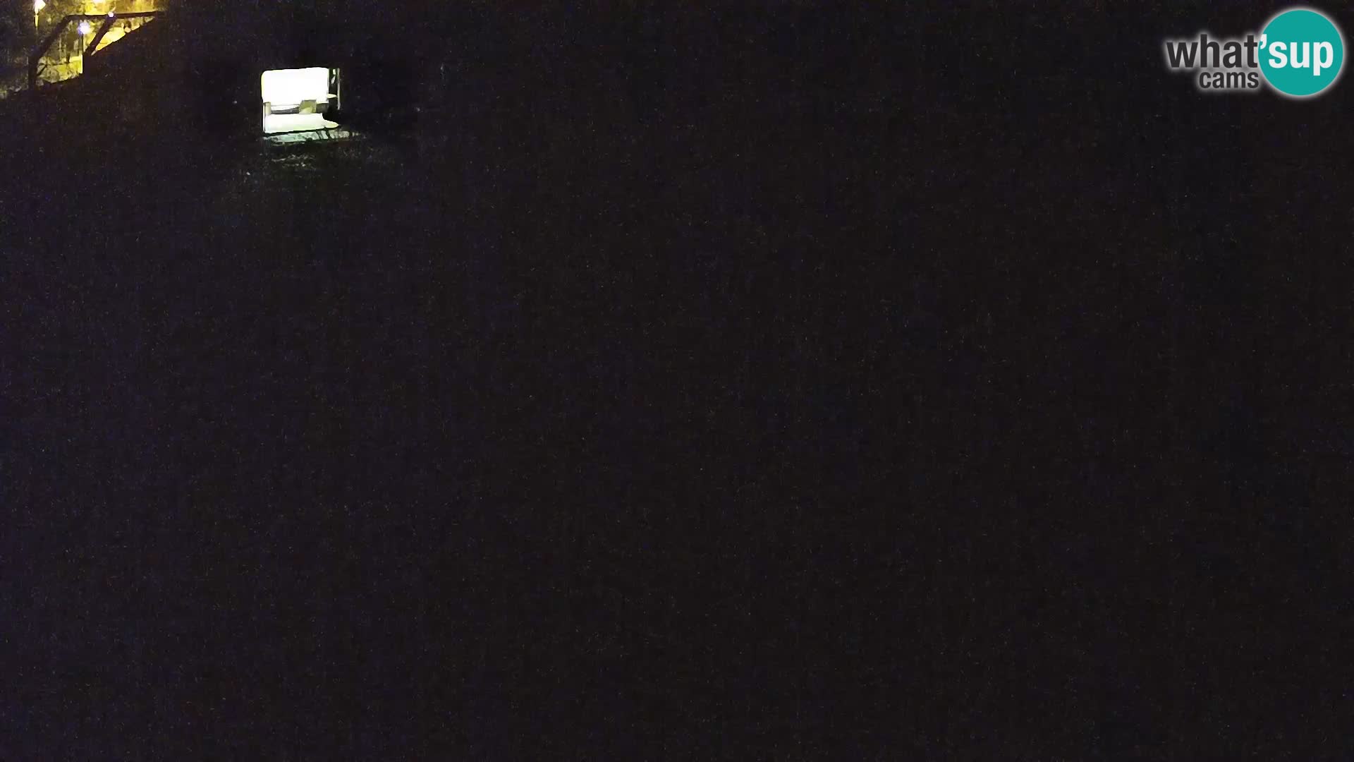 Zoo Ljubljana camera en vivo Leones