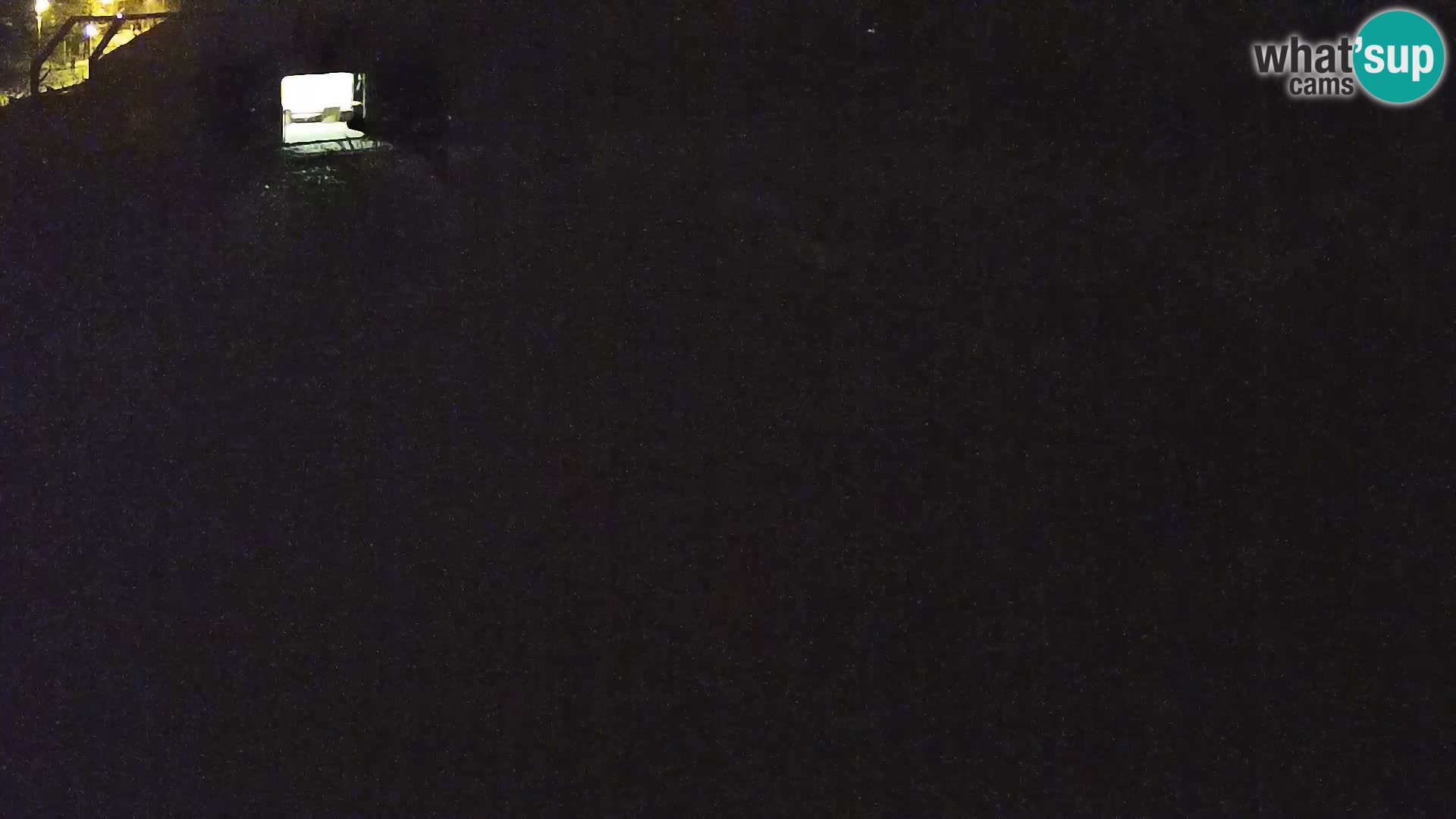 Live Ljubljana Zoo webcam Lion