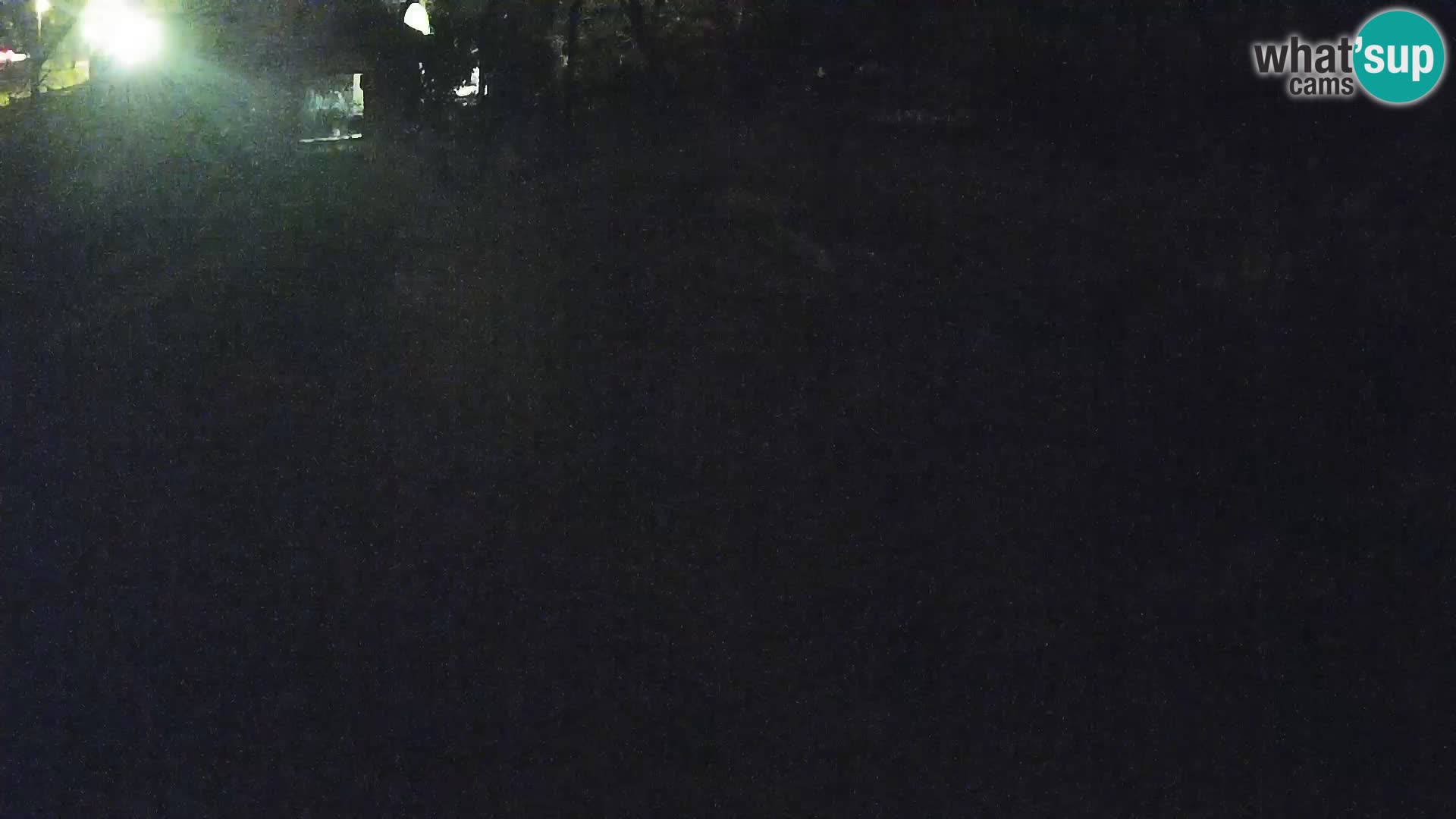 Live Ljubljana Zoo webcam Lion