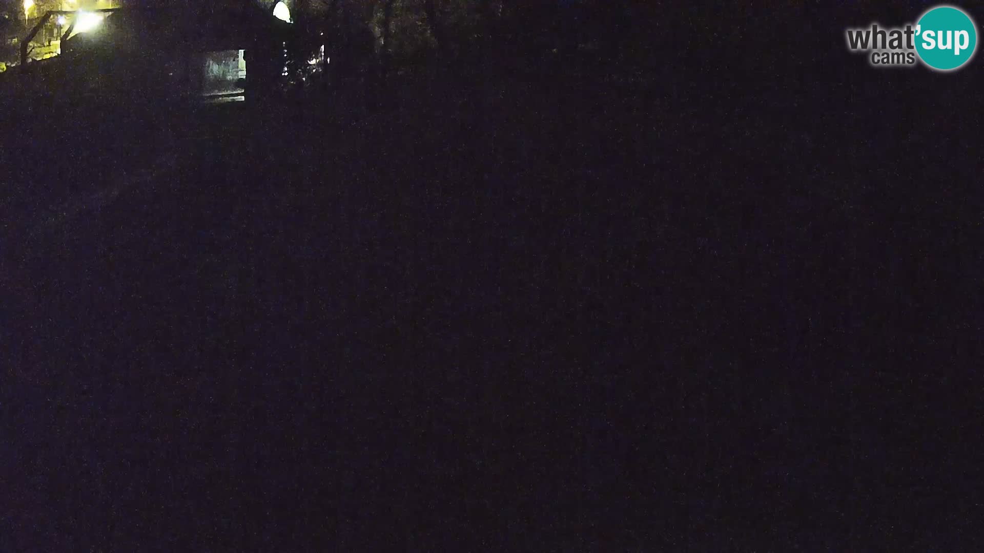 Zoo Lubiana live webcam Leoni