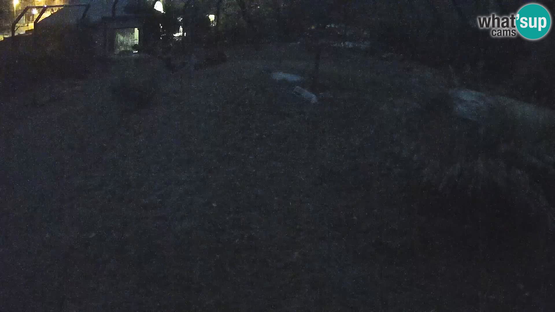 Zoo Lubiana live webcam Leoni