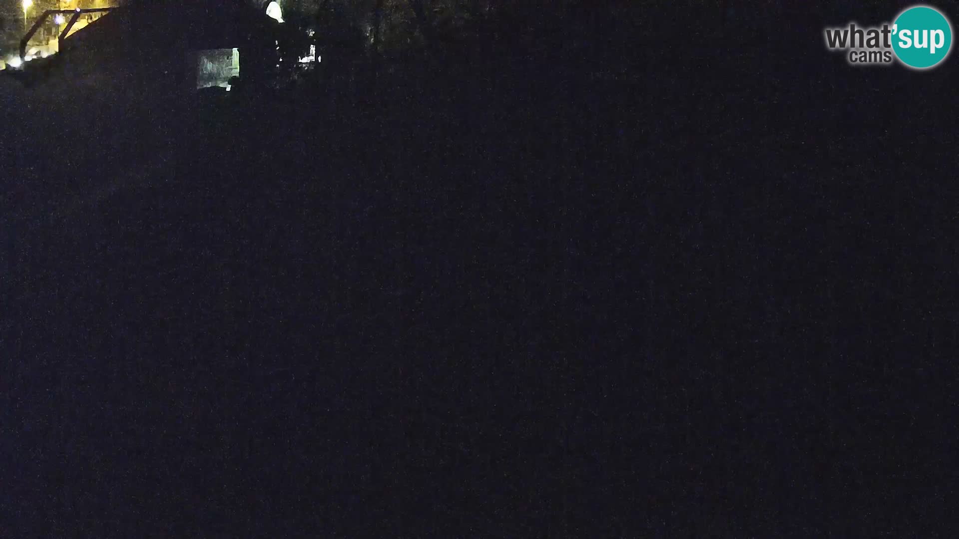 Live Ljubljana Zoo webcam Lion