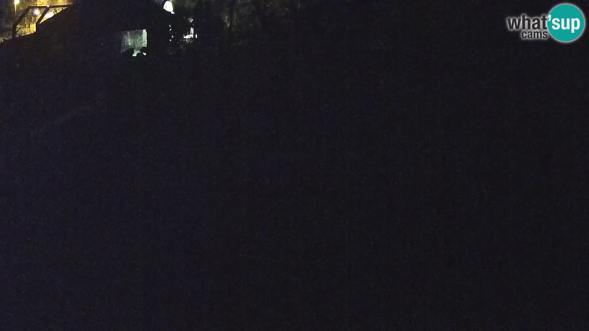 Live Ljubljana Zoo webcam Lion