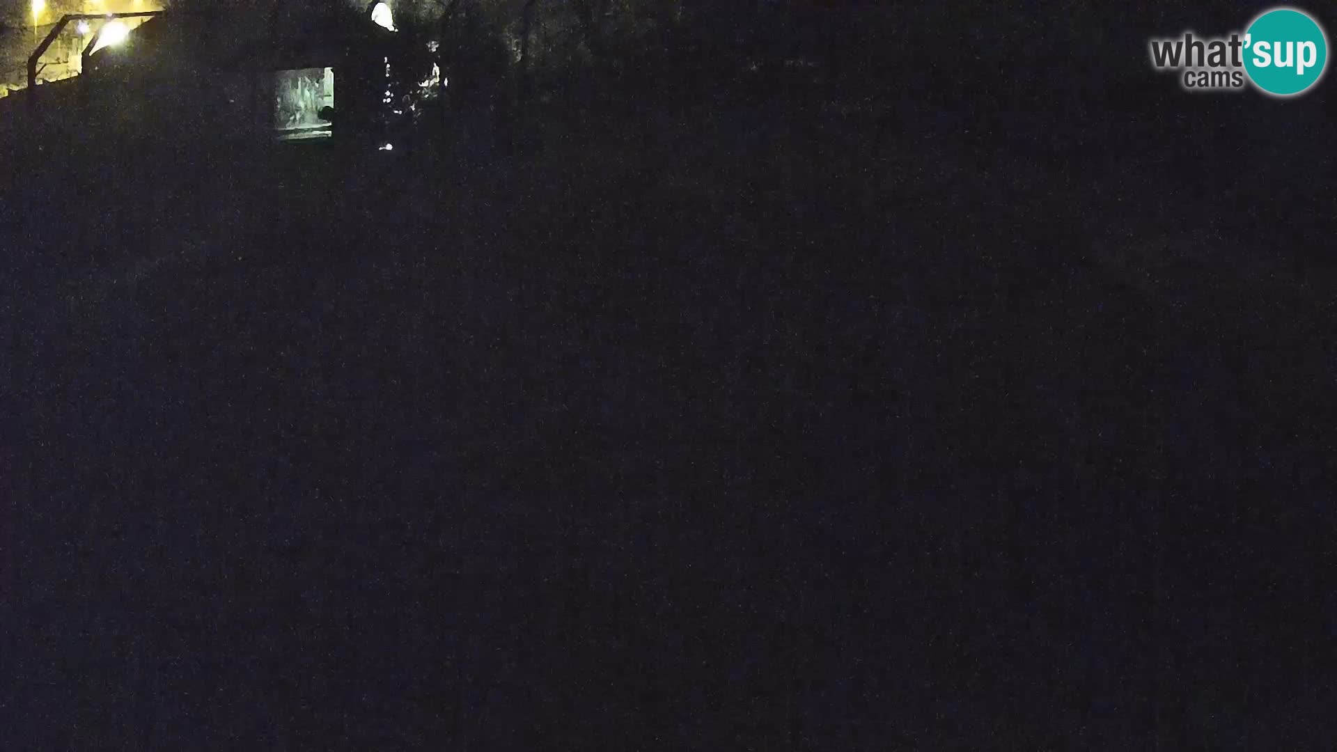 Zoo Ljubljana camera en vivo Leones