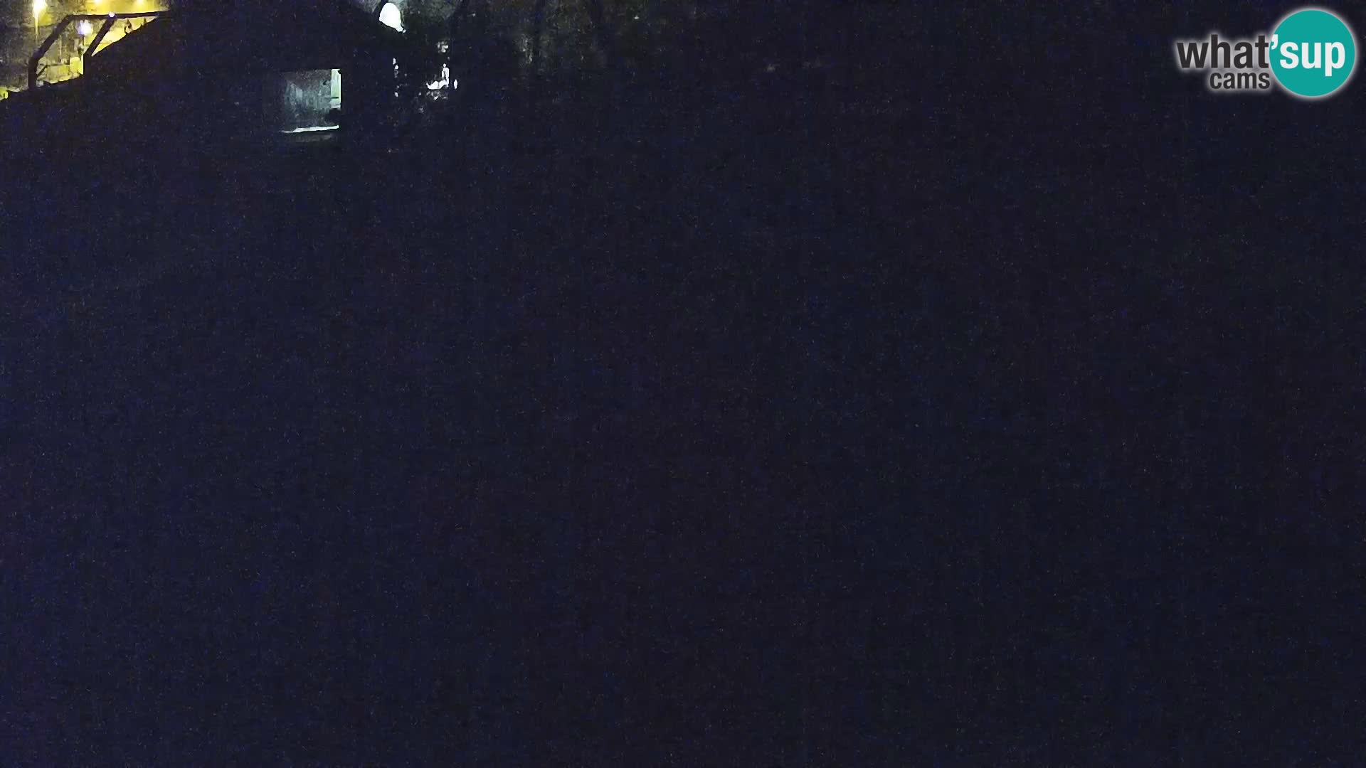 Live Ljubljana Zoo webcam Lion