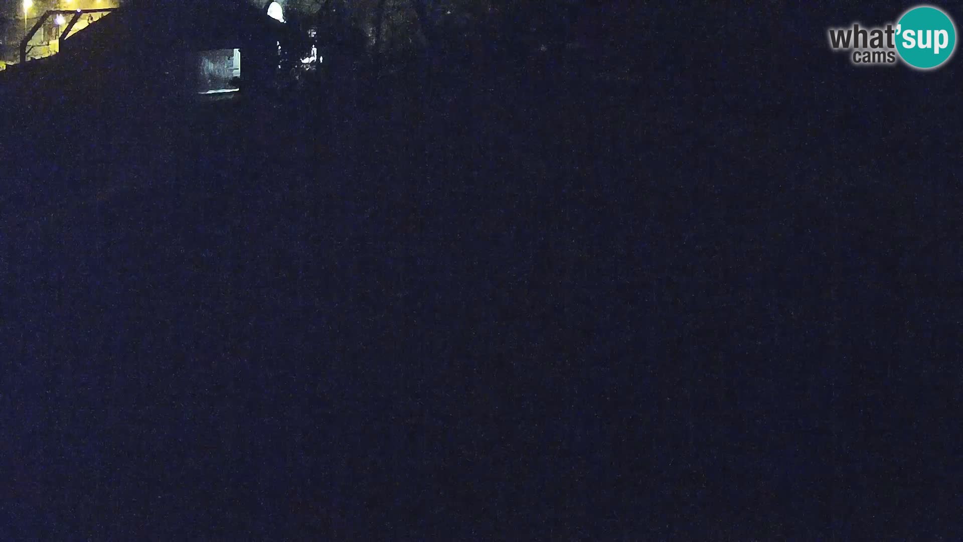 Zoo Ljubljana camera en vivo Leones