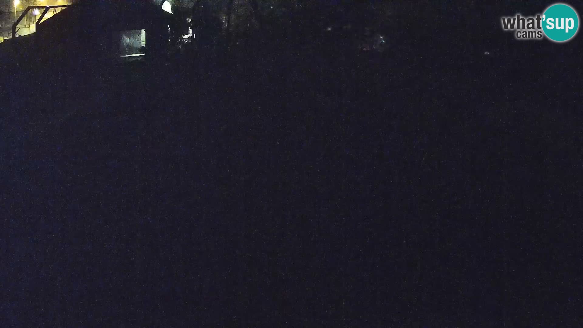 Zoo Ljubljana camera en vivo Leones