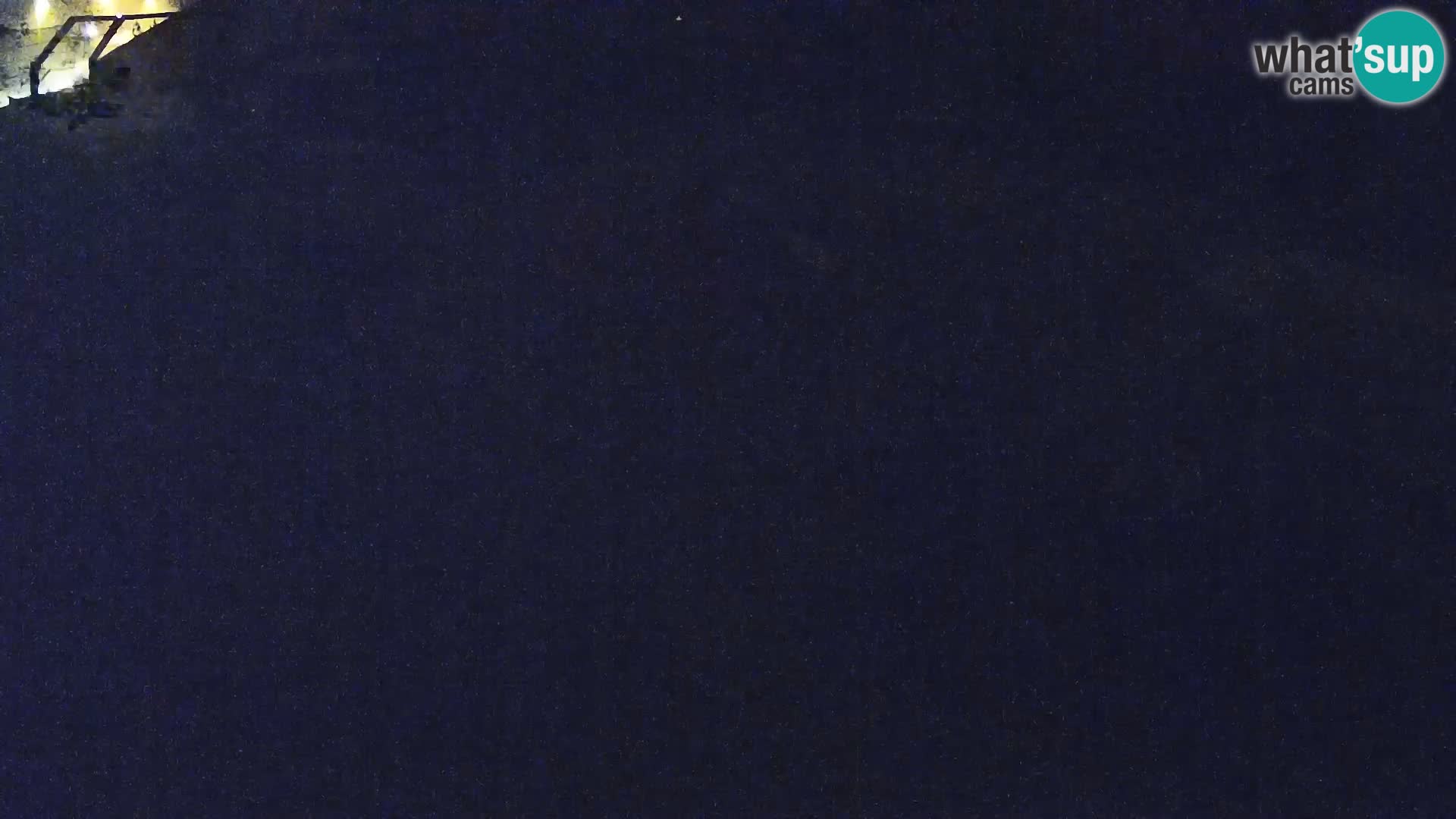 Zoo Ljubljana webcam Löwen