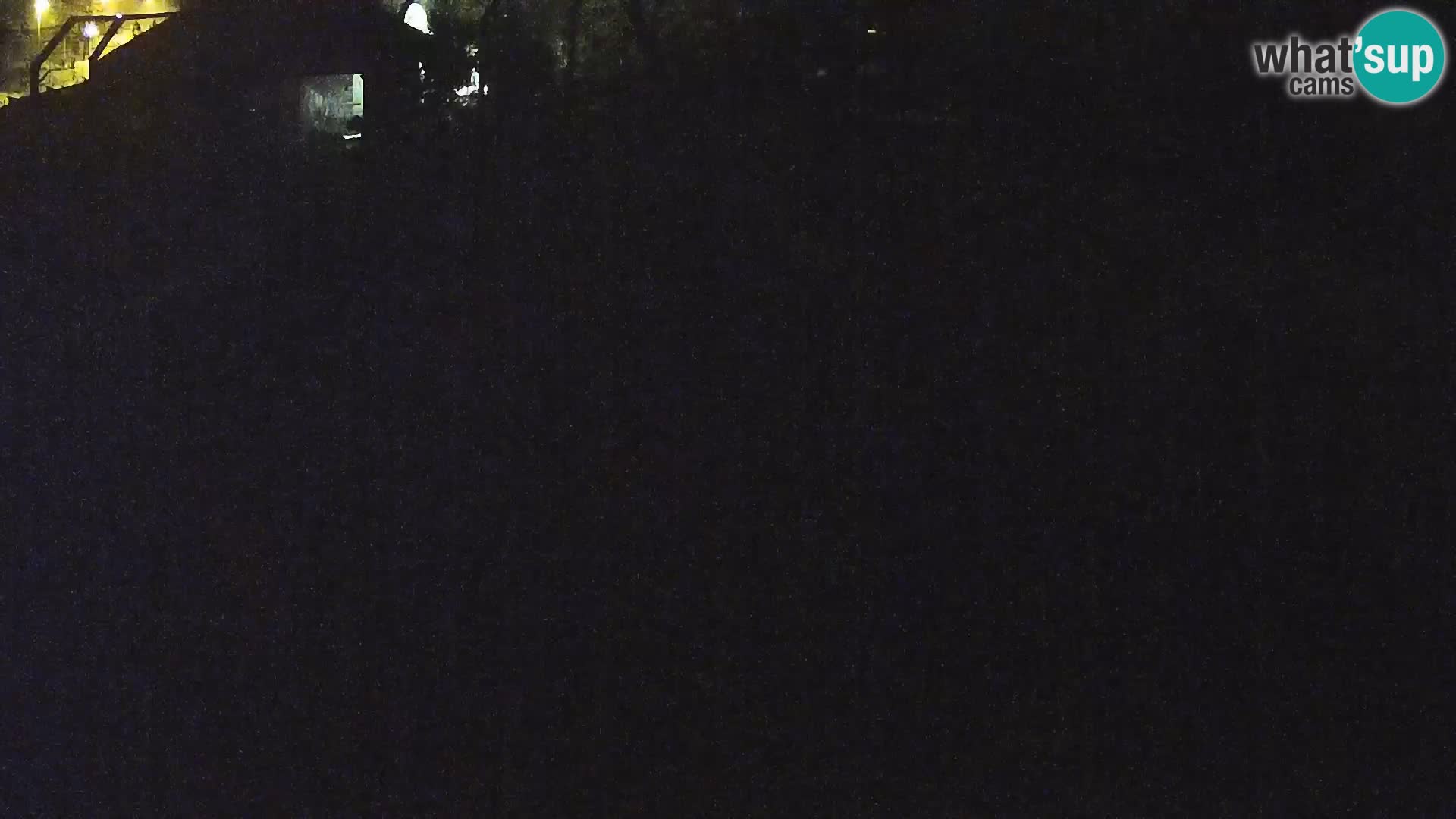 Zoo Ljubljana web kamera Lavovi