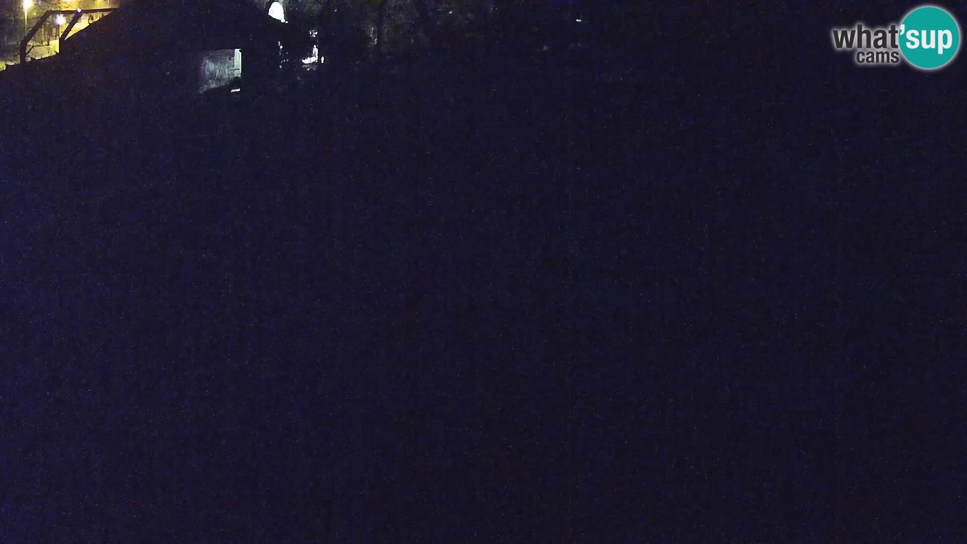 Live Ljubljana Zoo webcam Lion