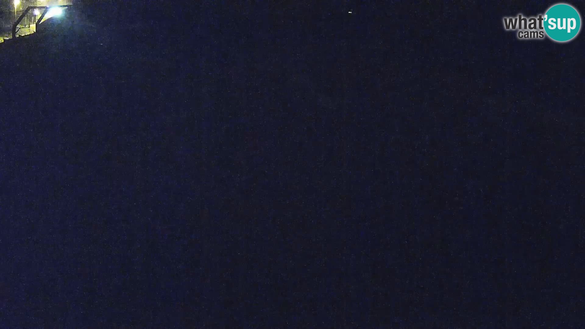 Ljubljana Zoo webcam Lion