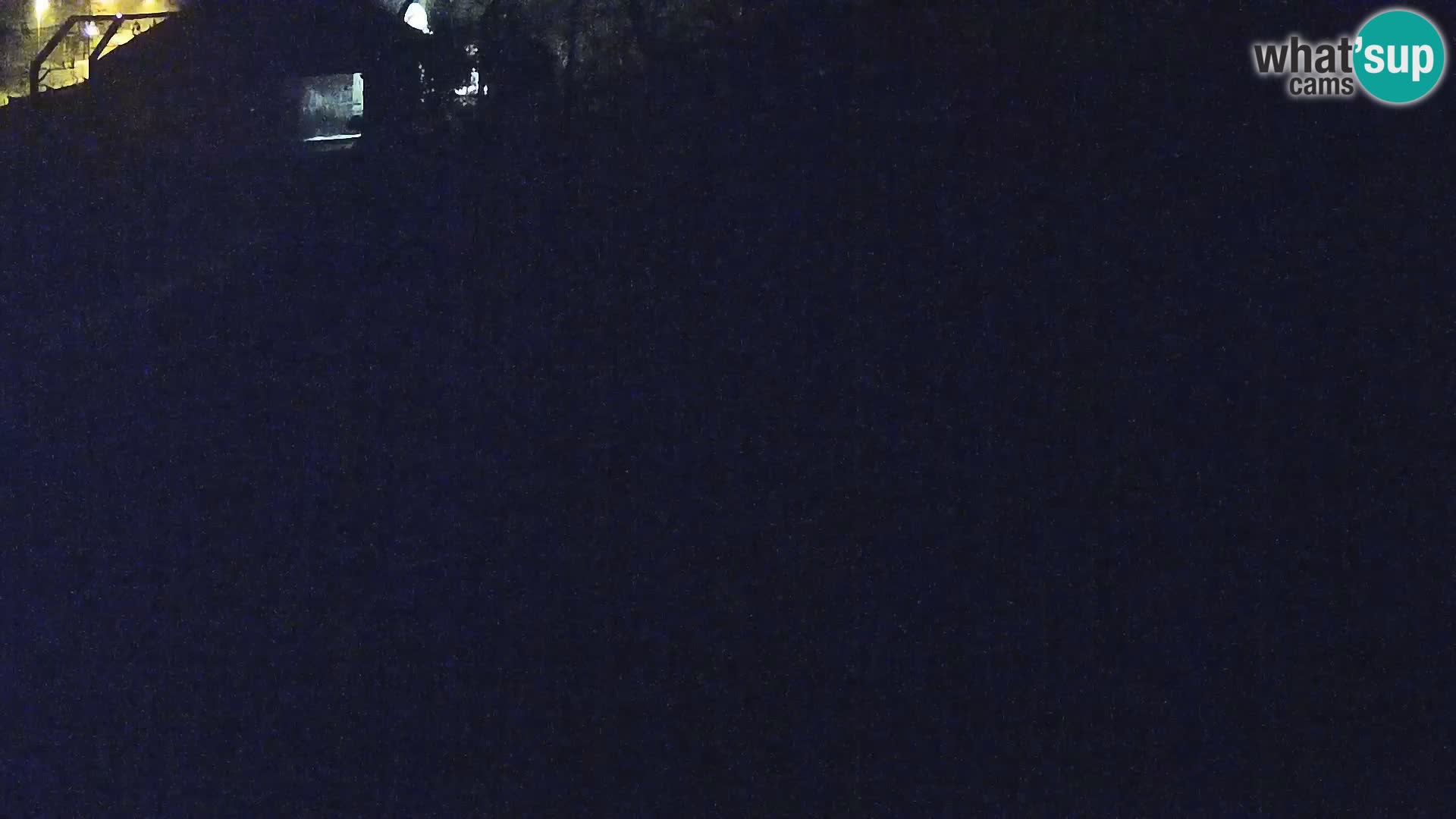 Live Ljubljana Zoo webcam Lion