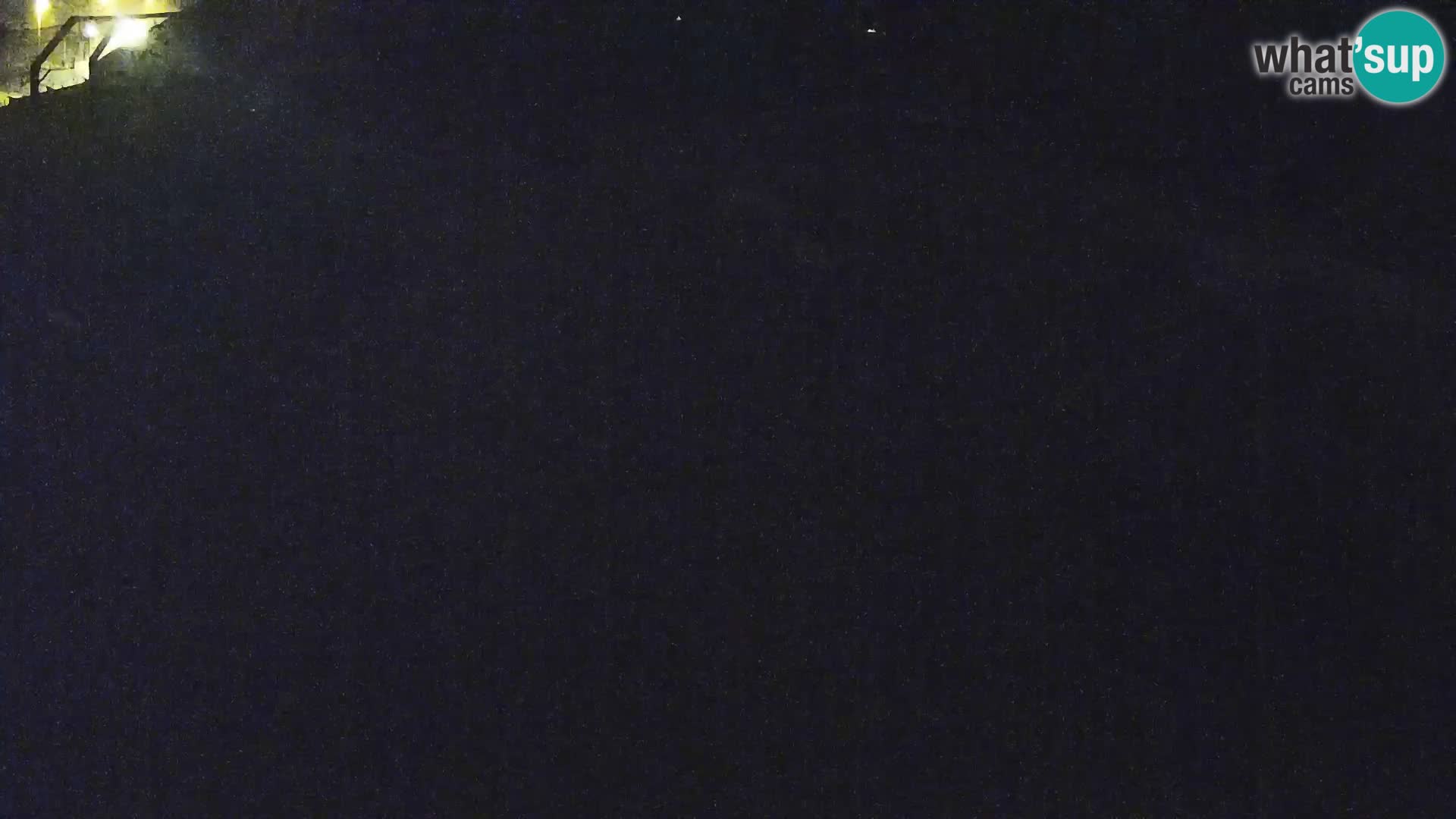 Ljubljana Zoo webcam Lion