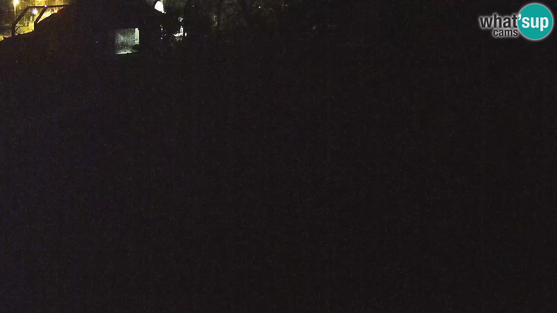 Ljubljana Zoo webcam Lion