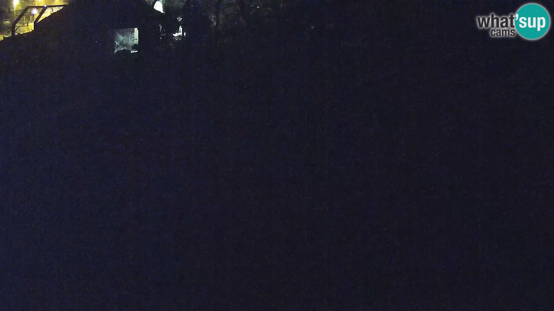 Zoo Ljubljana camera en vivo Leones