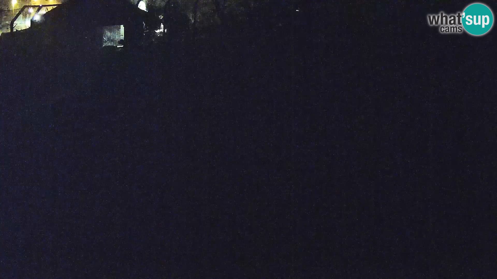 Ljubljana Zoo webcam Lion