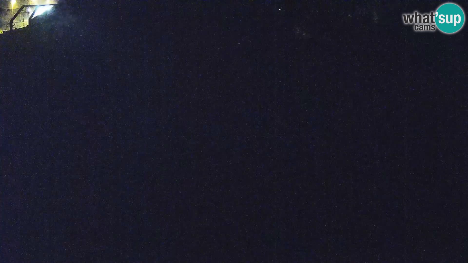 Live Ljubljana Zoo webcam Lion