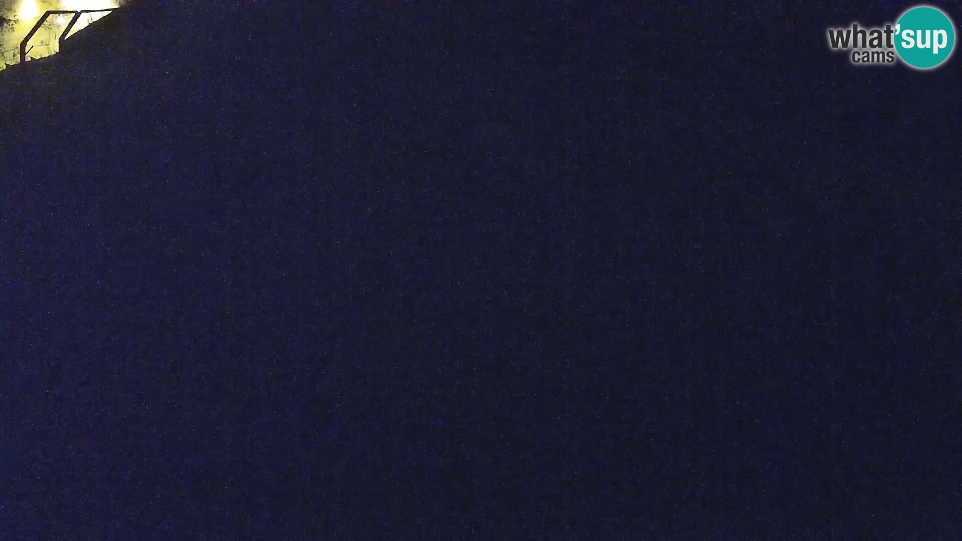 Ljubljana Zoo webcam Lion