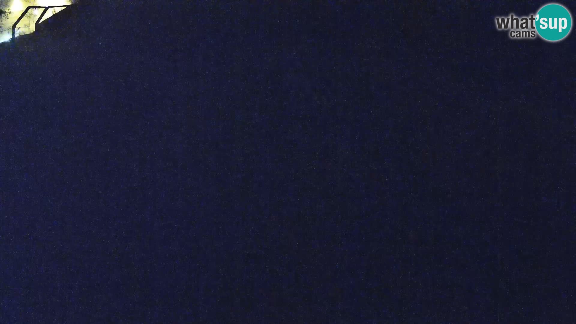 Live Ljubljana Zoo webcam Lion