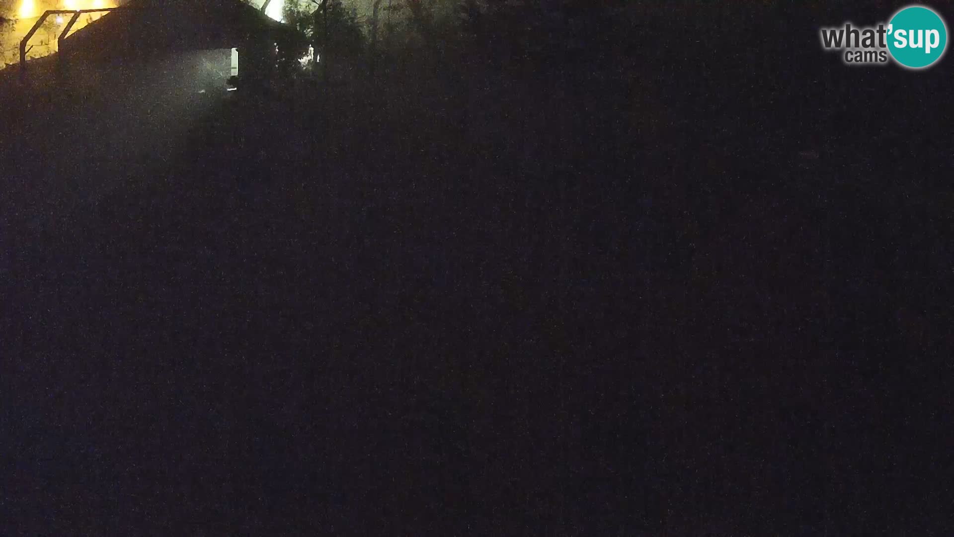 Zoo Ljubljana camera en vivo Leones