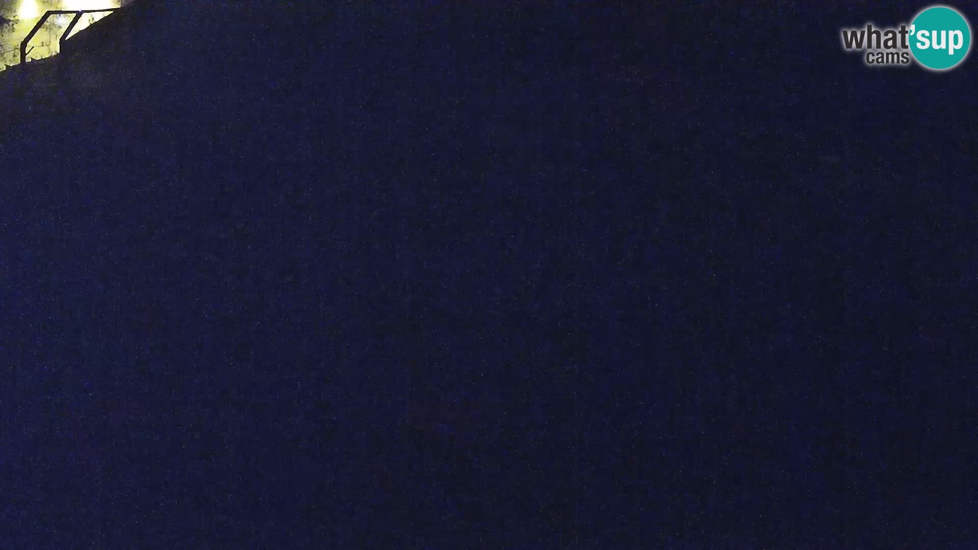 Zoo Ljubljana webcam Löwen