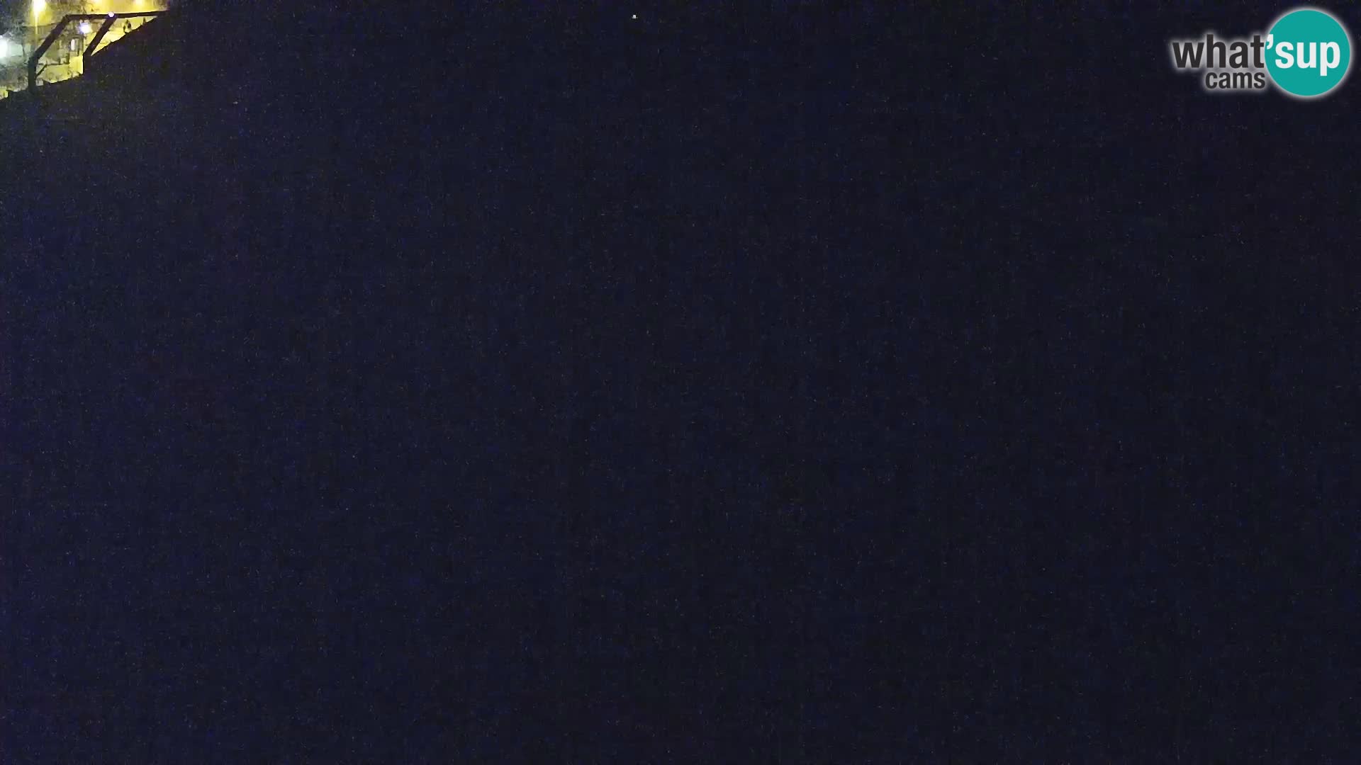 Zoo Ljubljana web kamera Lavovi