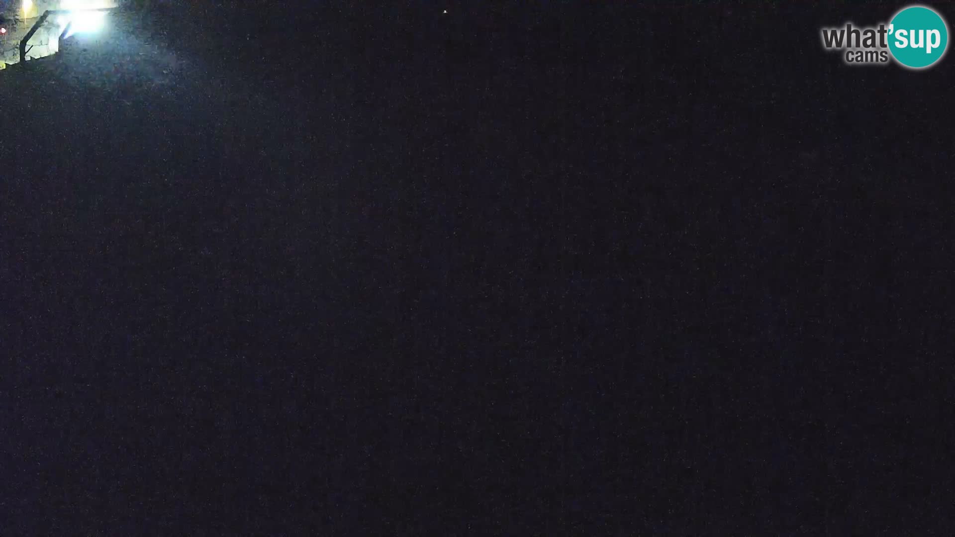 Živalski vrt Ljubljana kamera v živo Levi