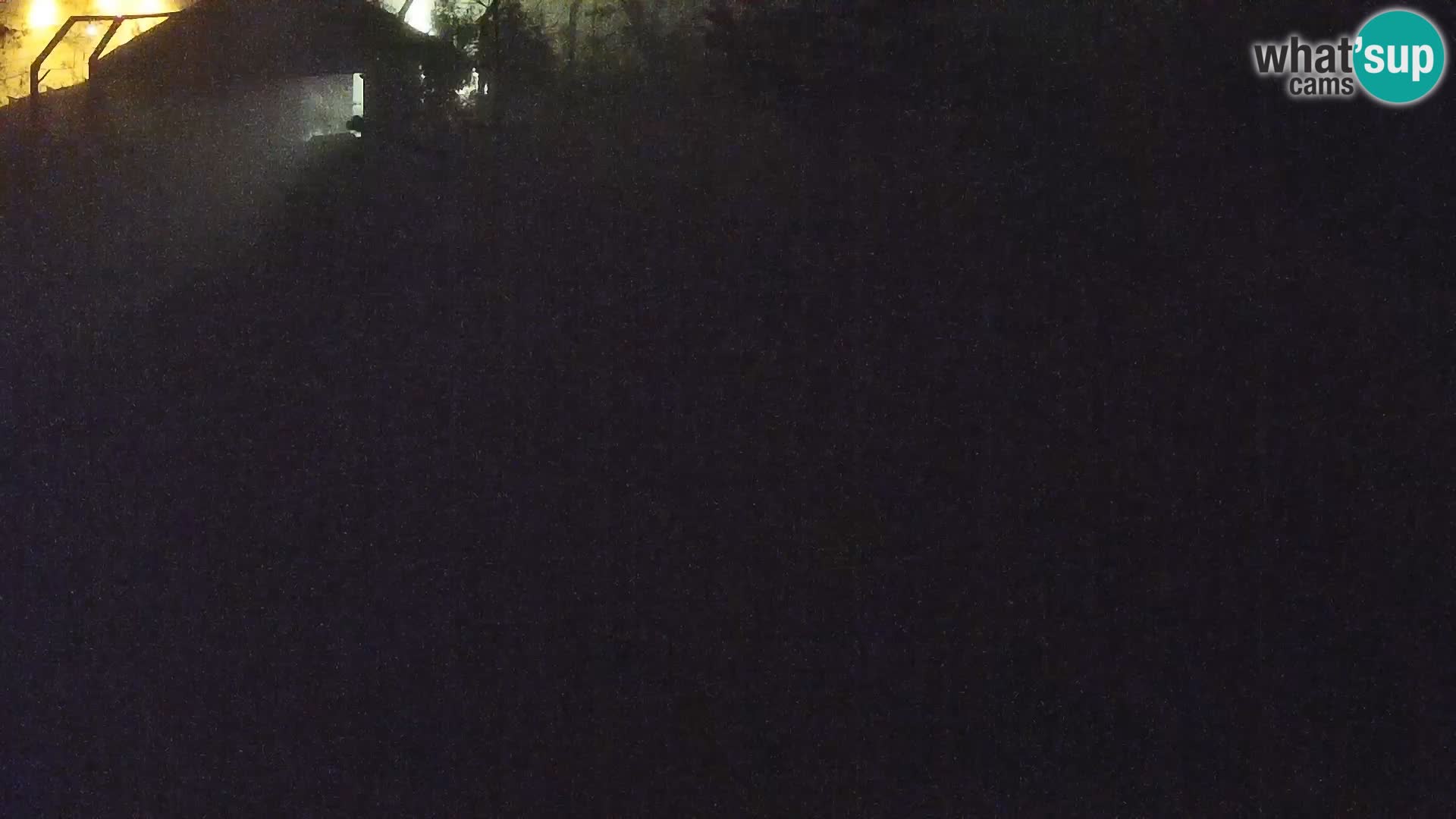 Zoo Lubiana live webcam Leoni