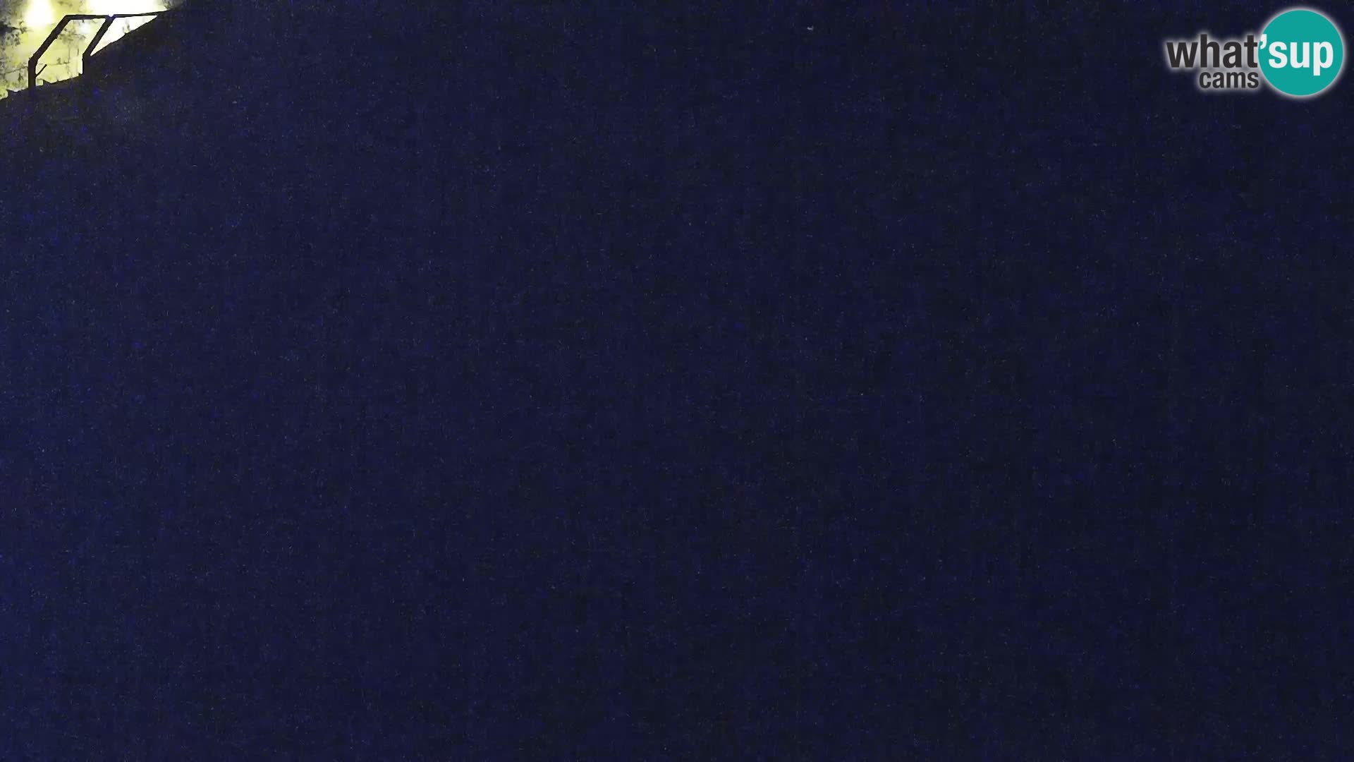 Zoo Lubiana live webcam Leoni