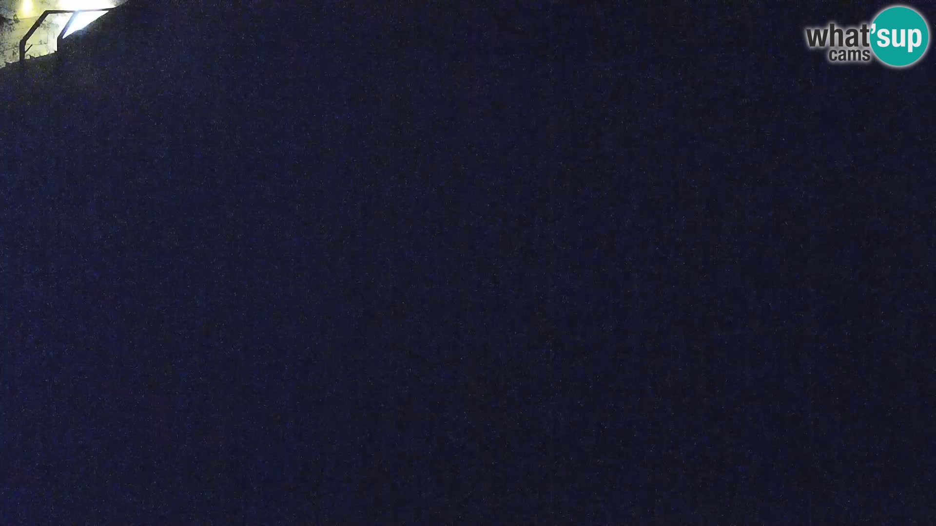 Živalski vrt Ljubljana kamera v živo Levi