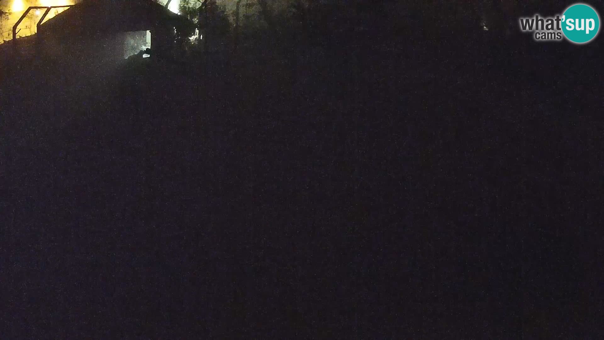 Zoo Ljubljana webcam Löwen