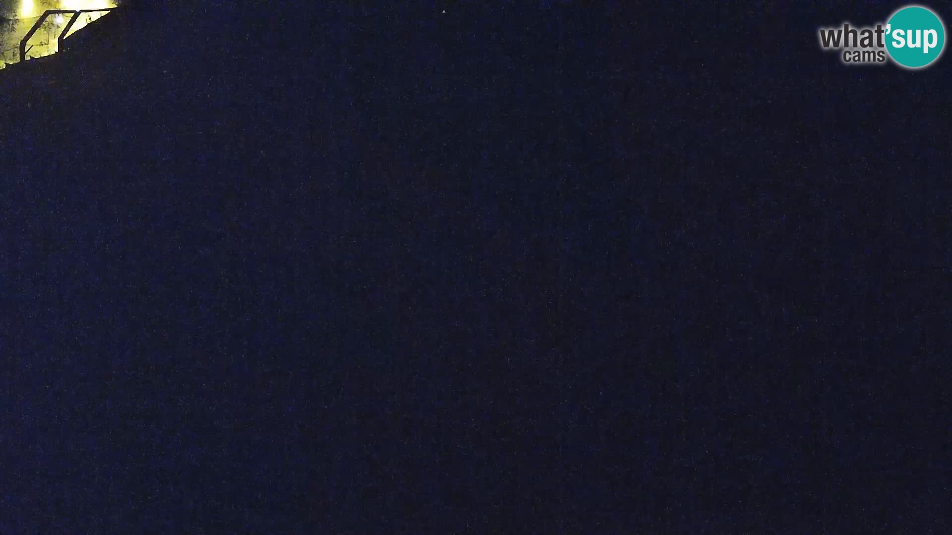 Zoo Ljubljana webcam Löwen