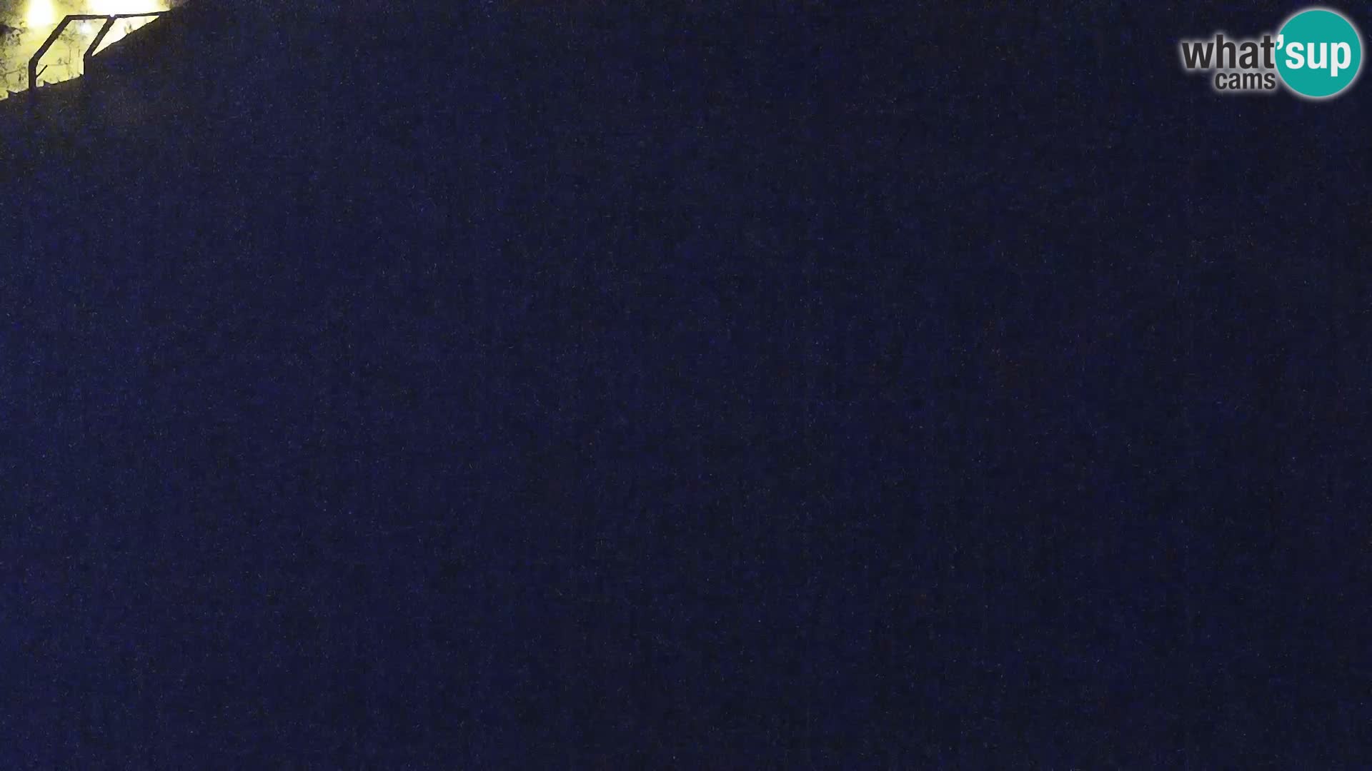 Zoo Ljubljana webcam Löwen