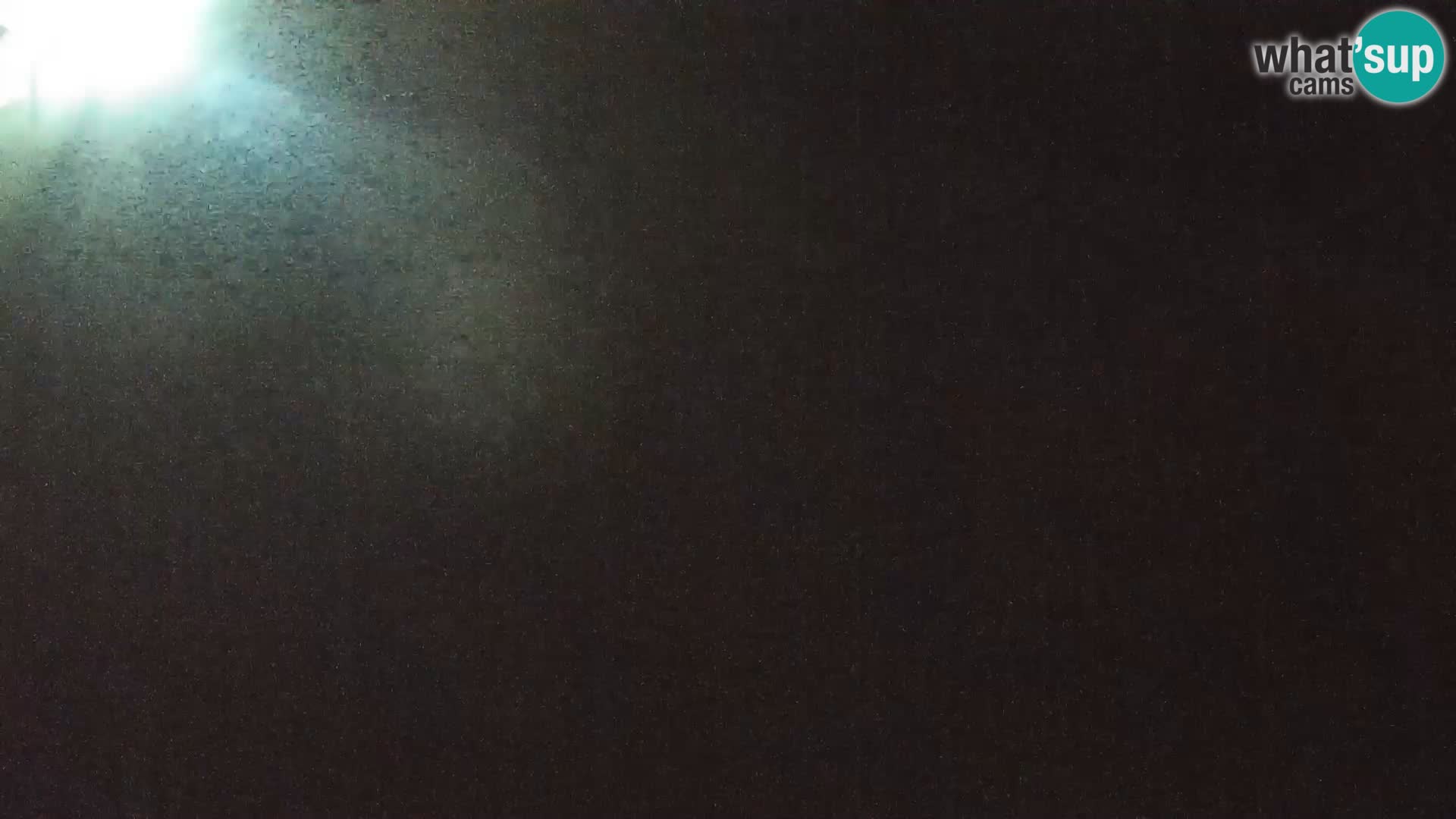 Živalski vrt Ljubljana kamera v živo Levi