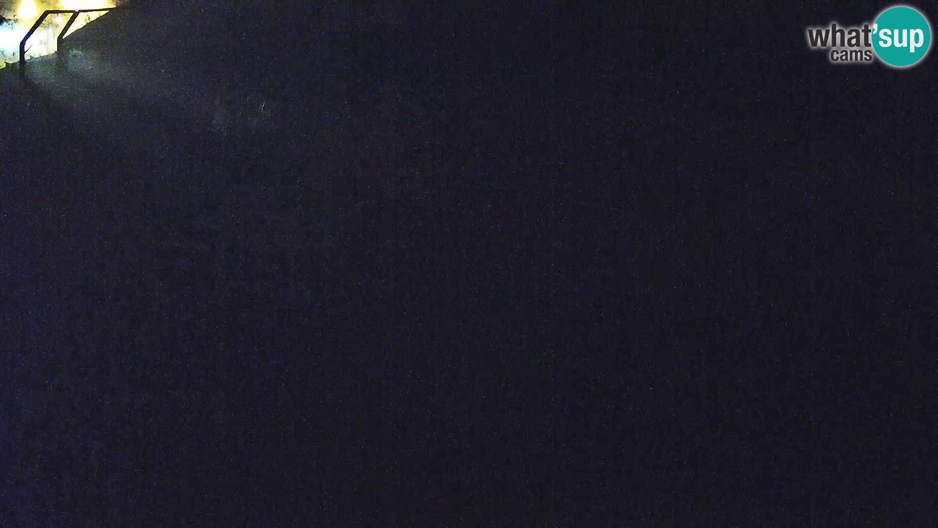 Ljubljana Zoo webcam Lion