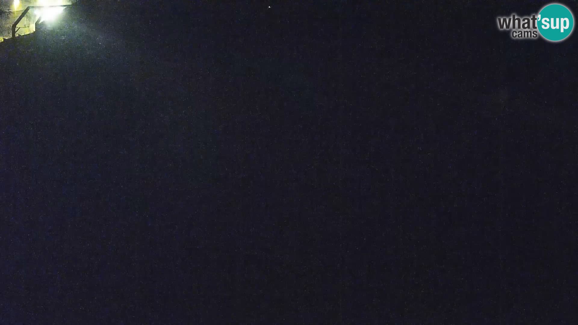 Zoo Ljubljana webcam Löwen